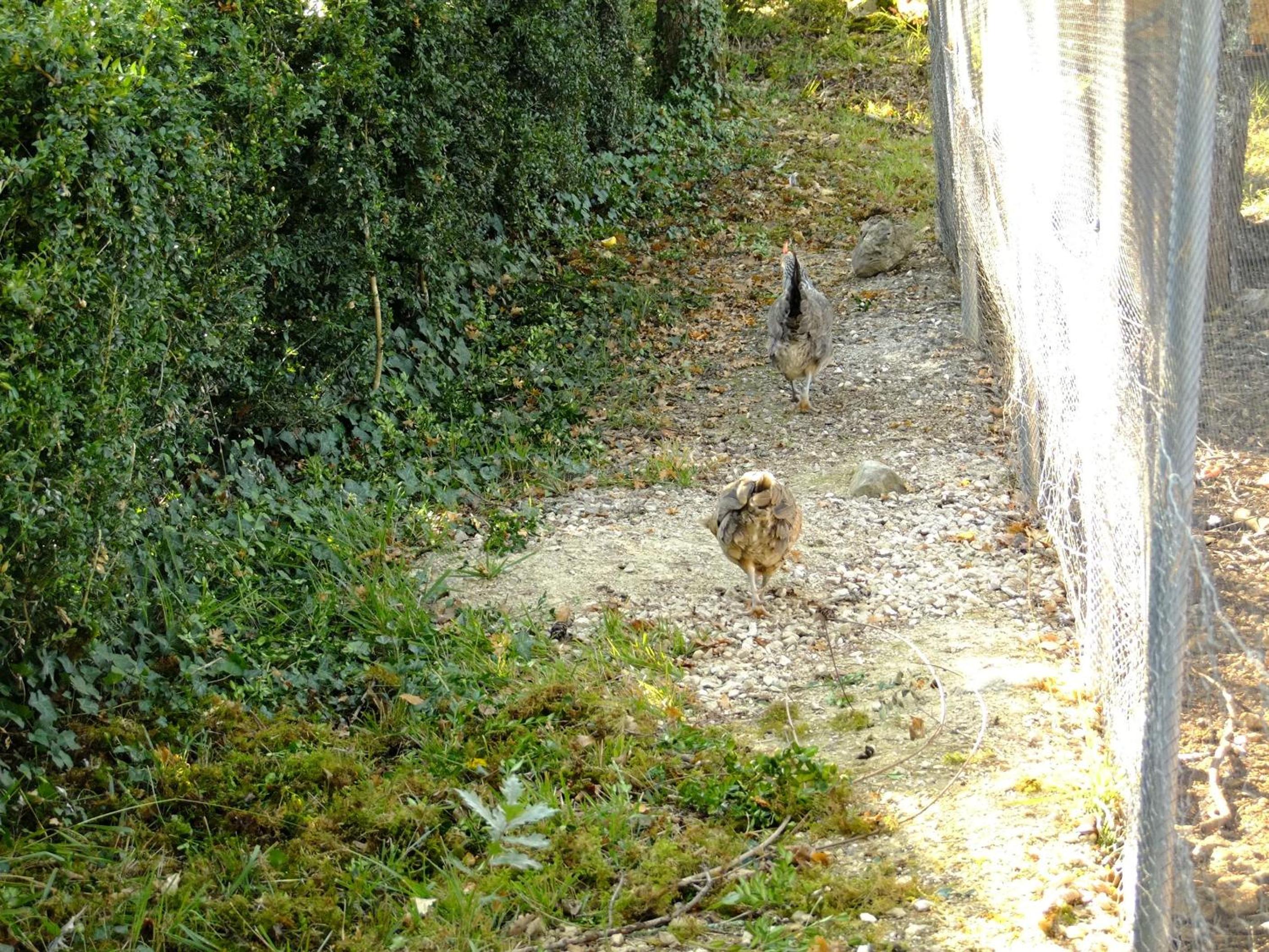 Domaine des Bories