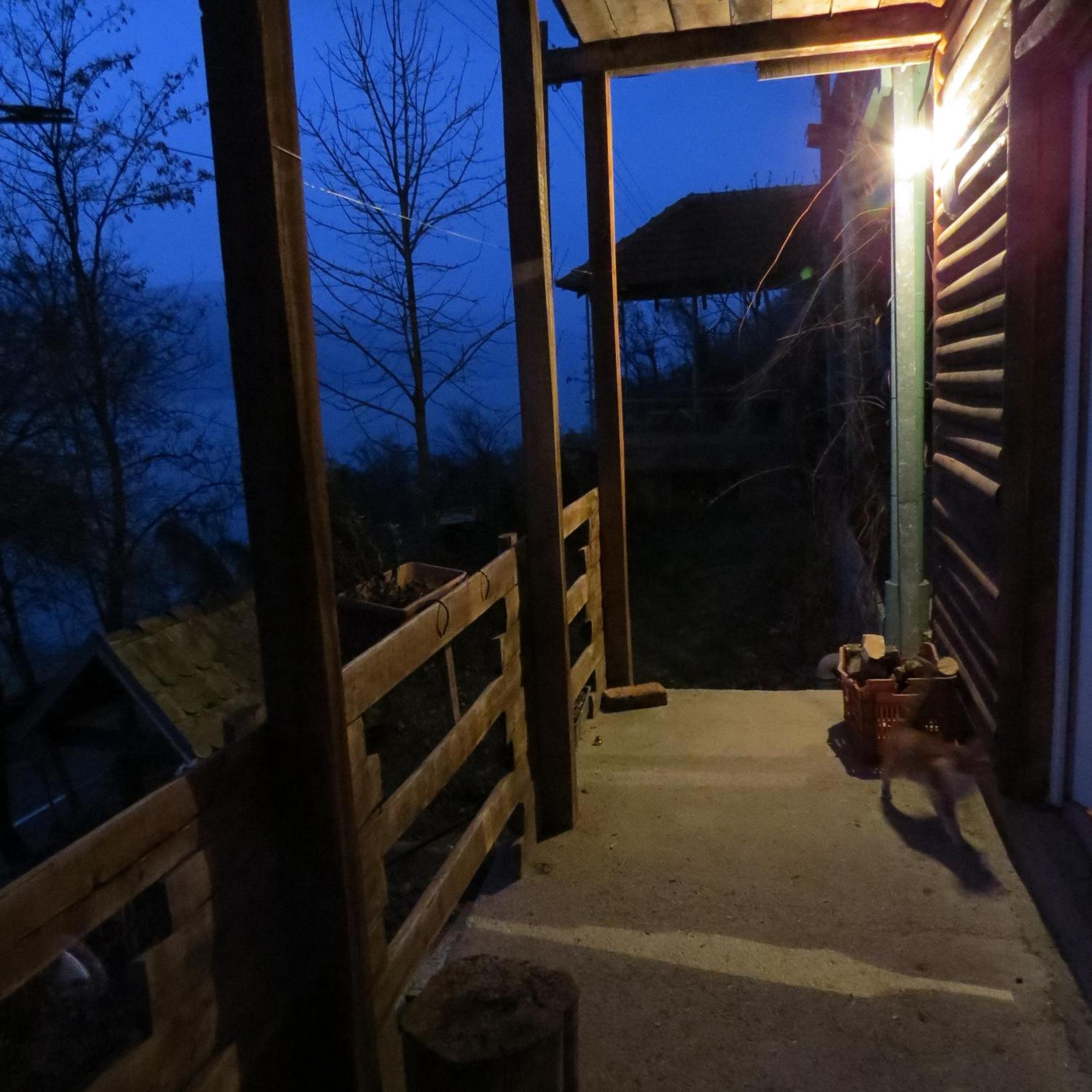 Photo 22