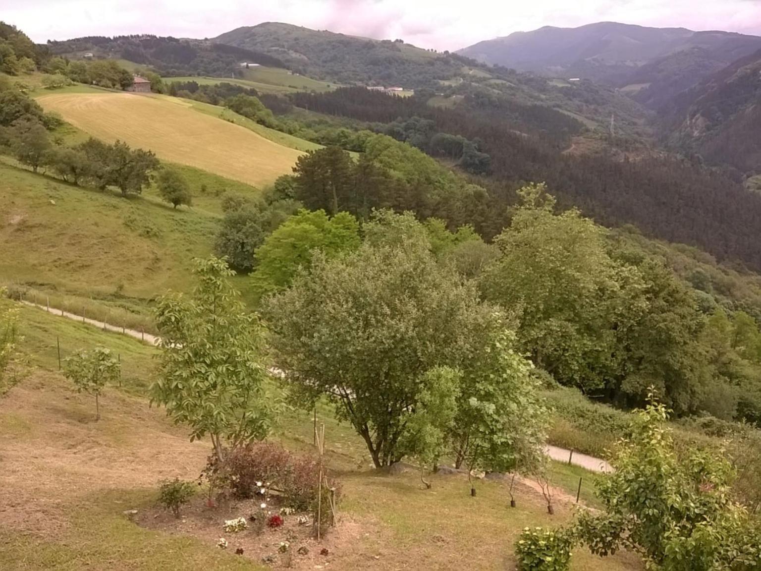 Photo 8