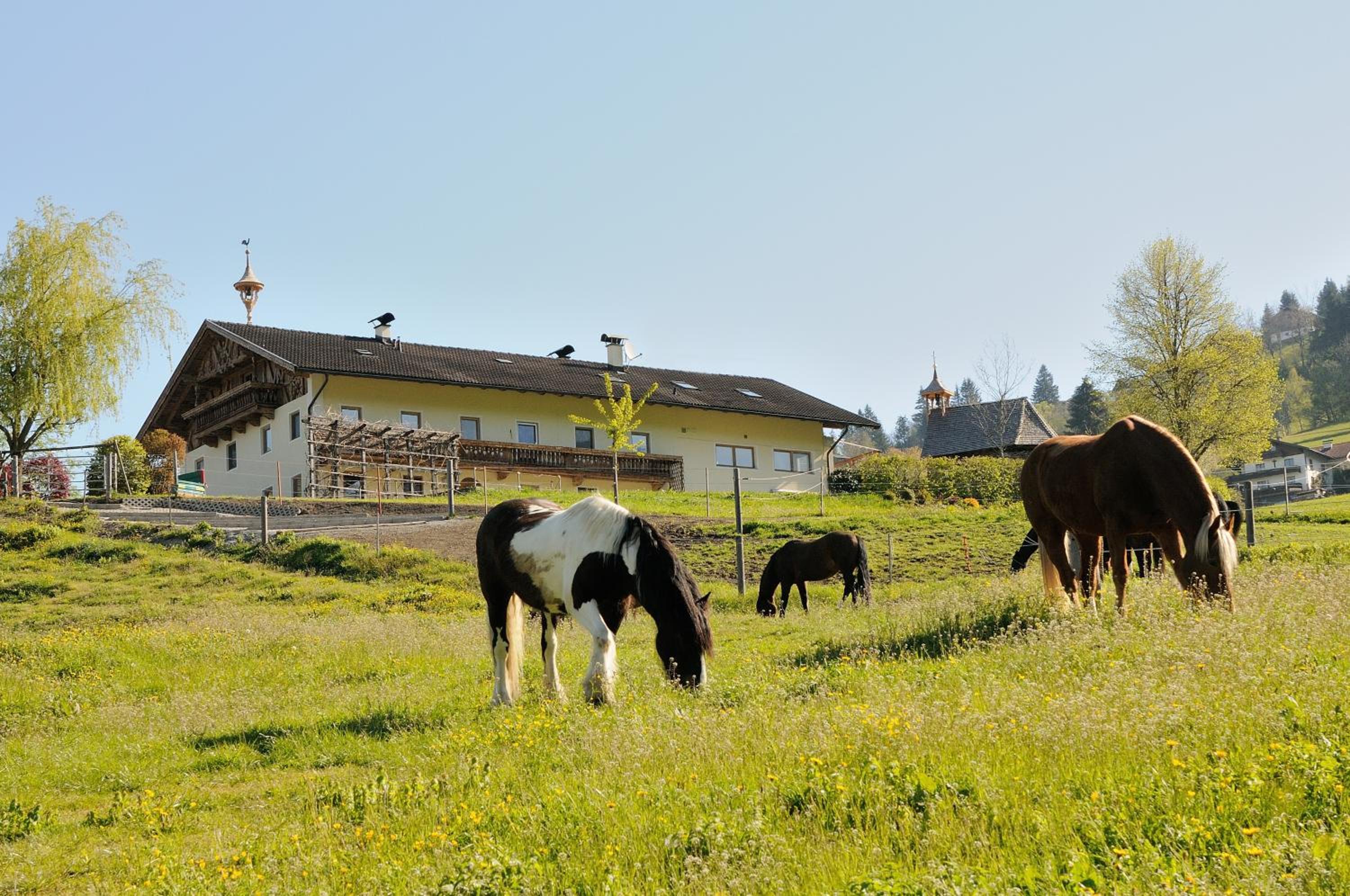 Familie Sponring - Maxnhagerhof view 4
