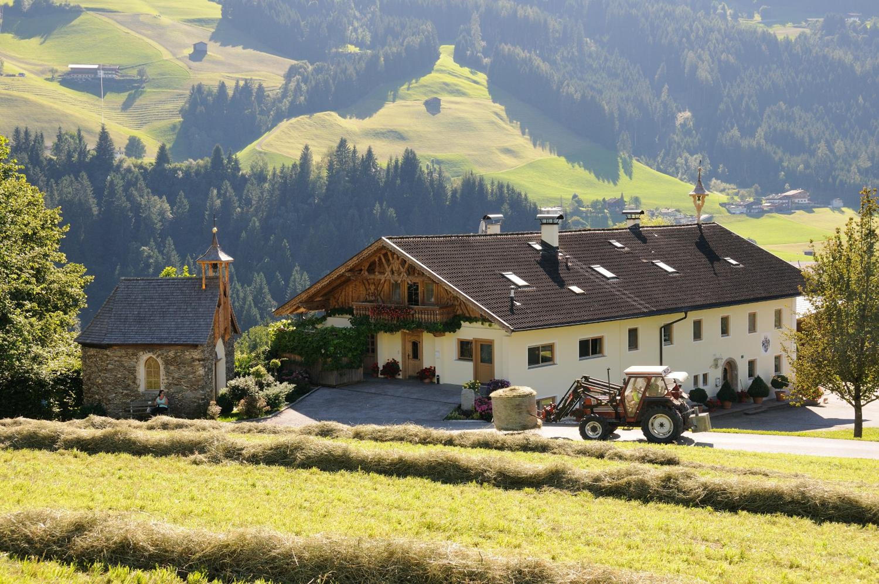 Familie Sponring - Maxnhagerhof view 5