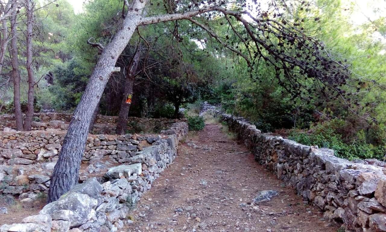 Photo 21