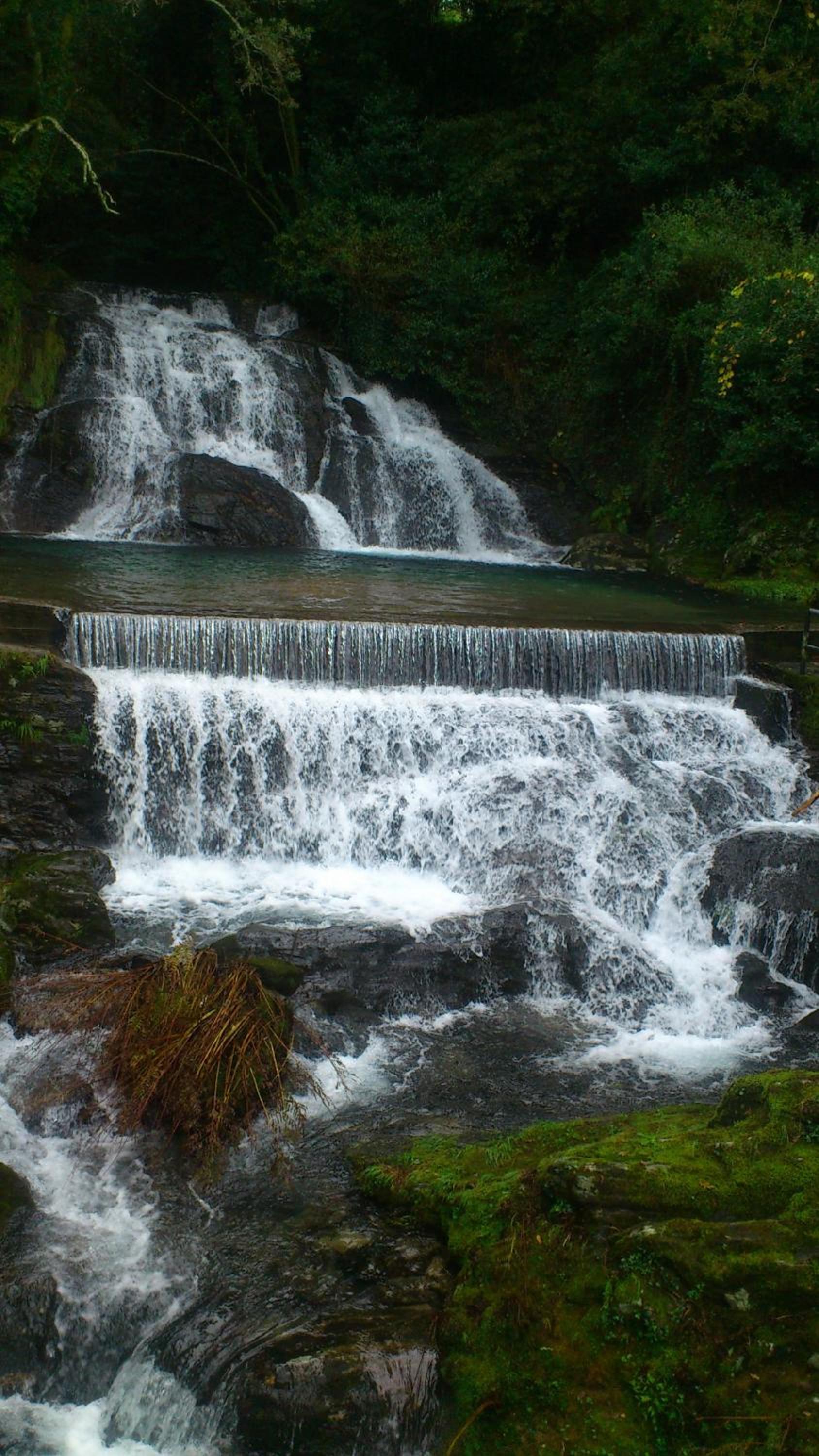 Photo 42