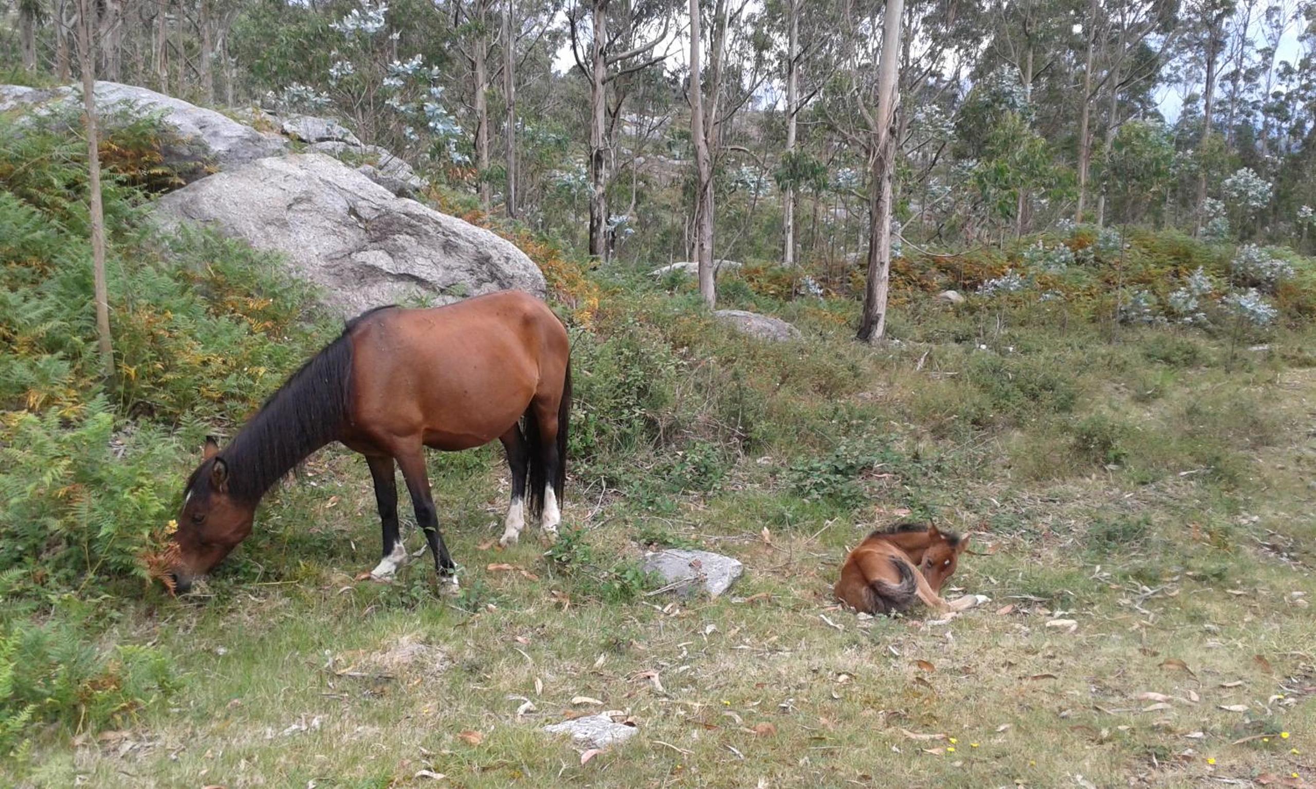 Photo 45