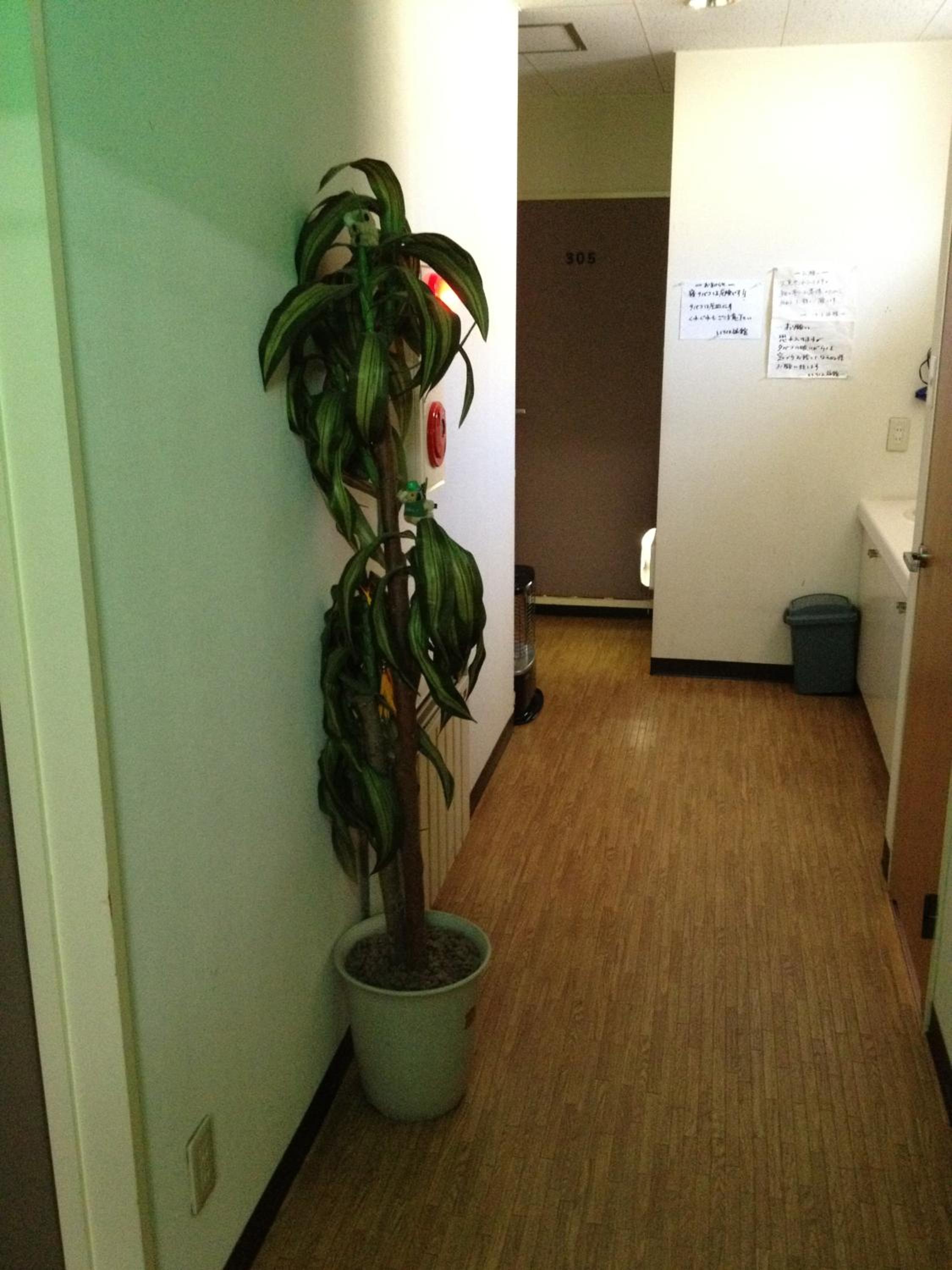 Iroha Ryokan, photo 20