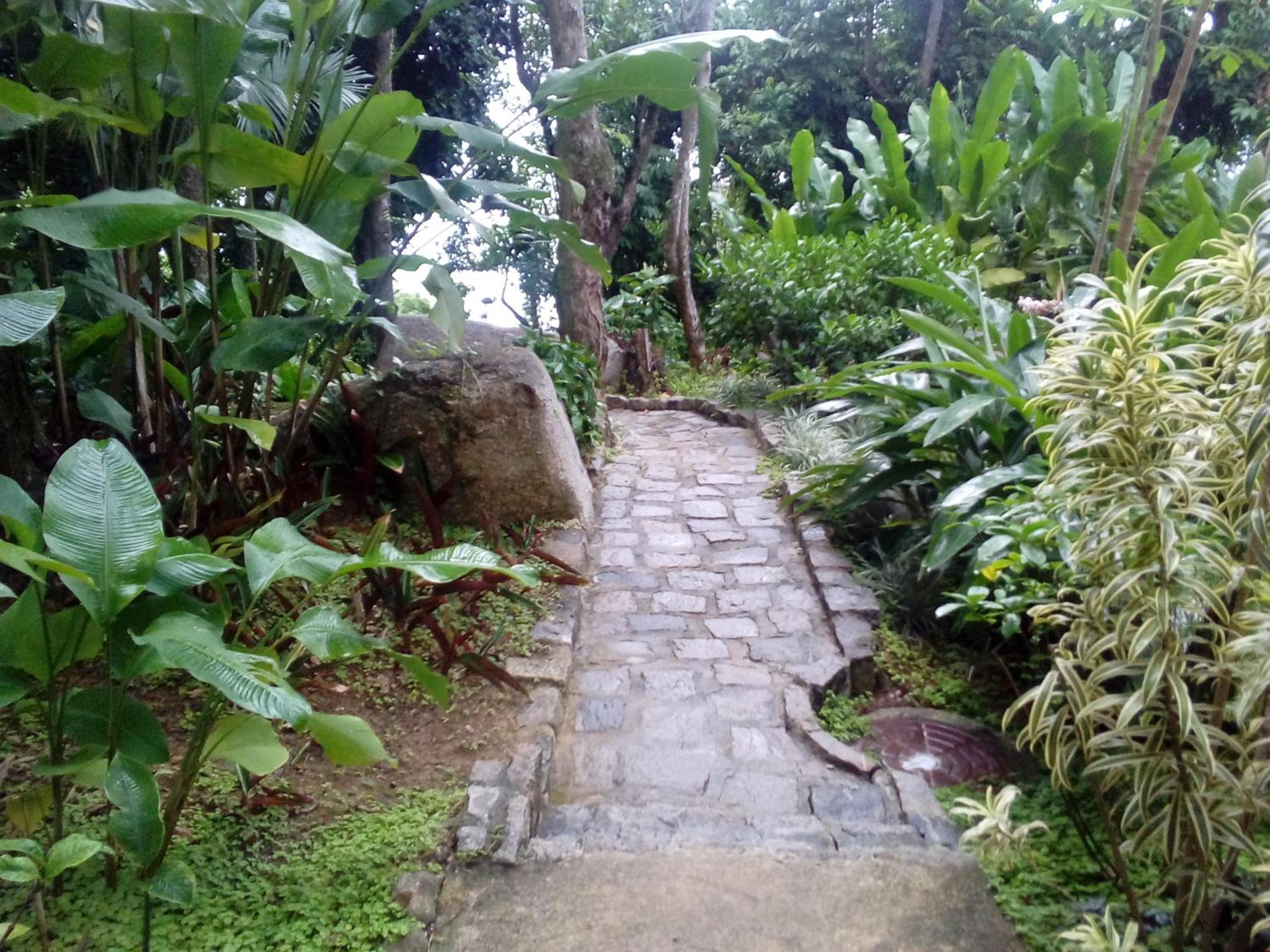 Photo 39