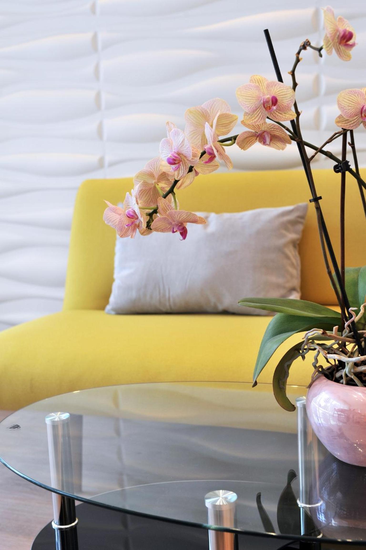 Hillside Premium Apartments