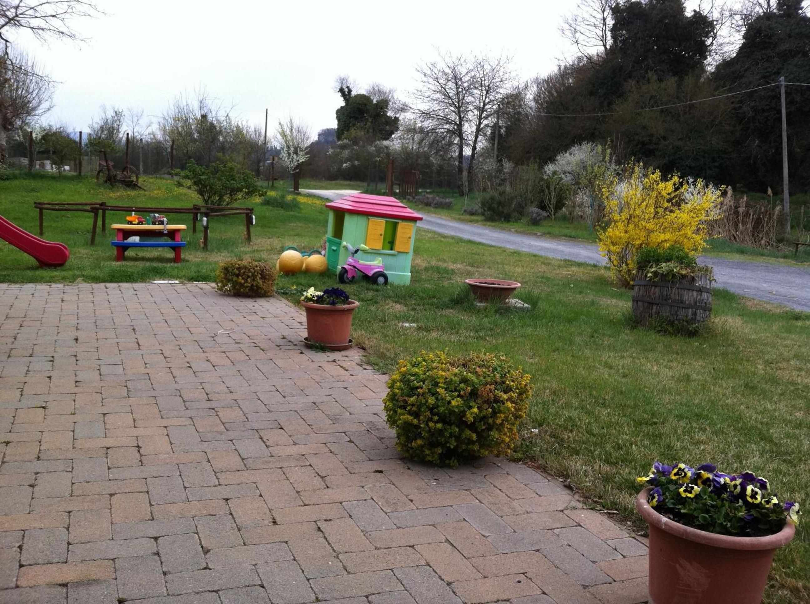 Photo 11