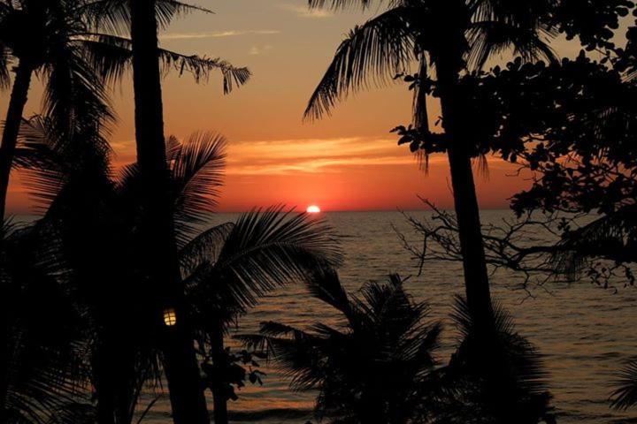 Paradise Palms view 5