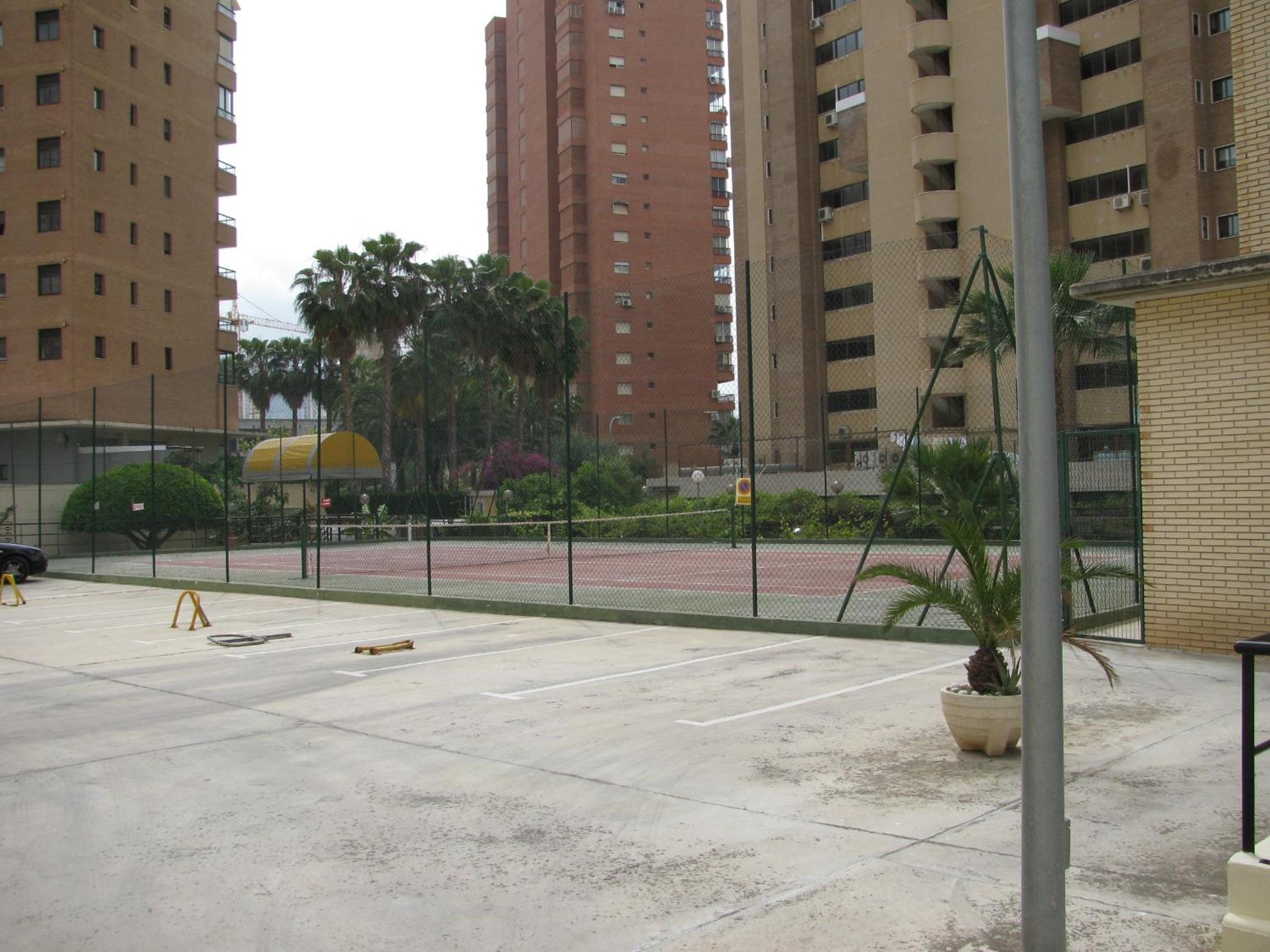 Photo 12