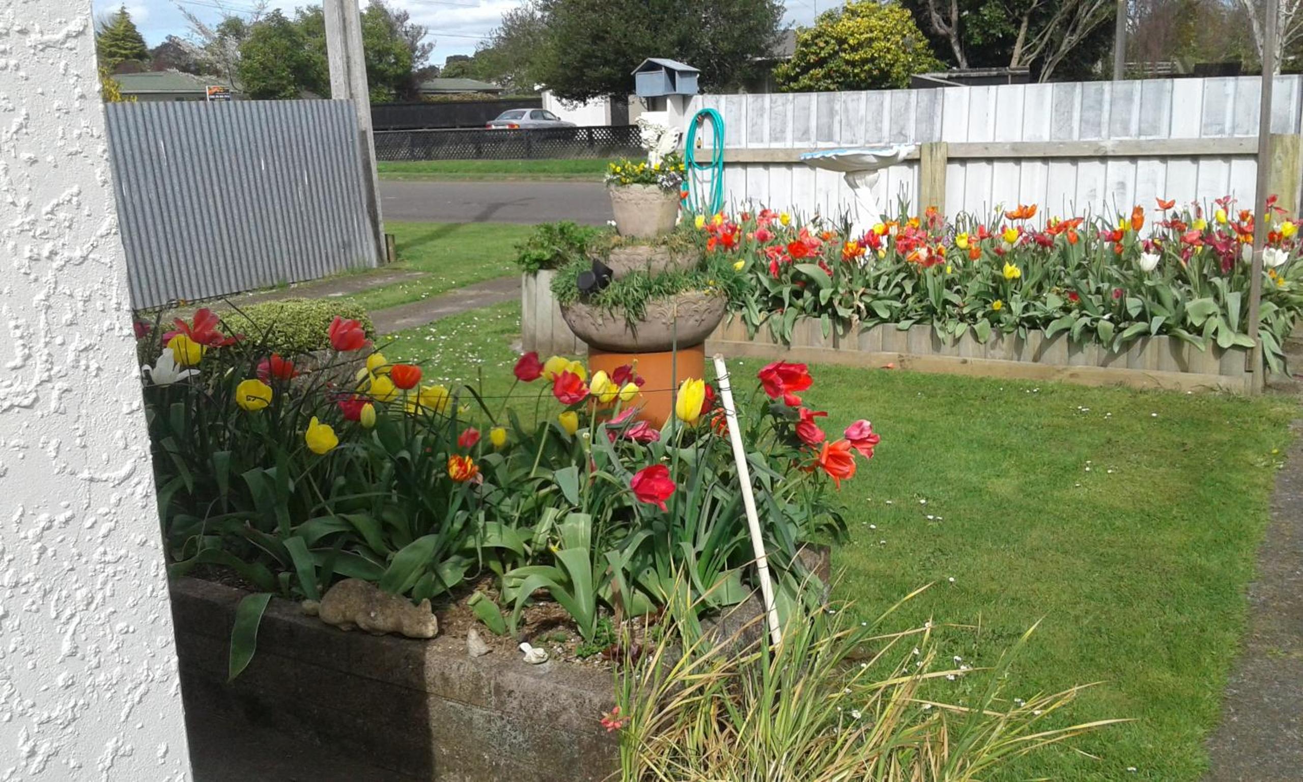 Photo 13