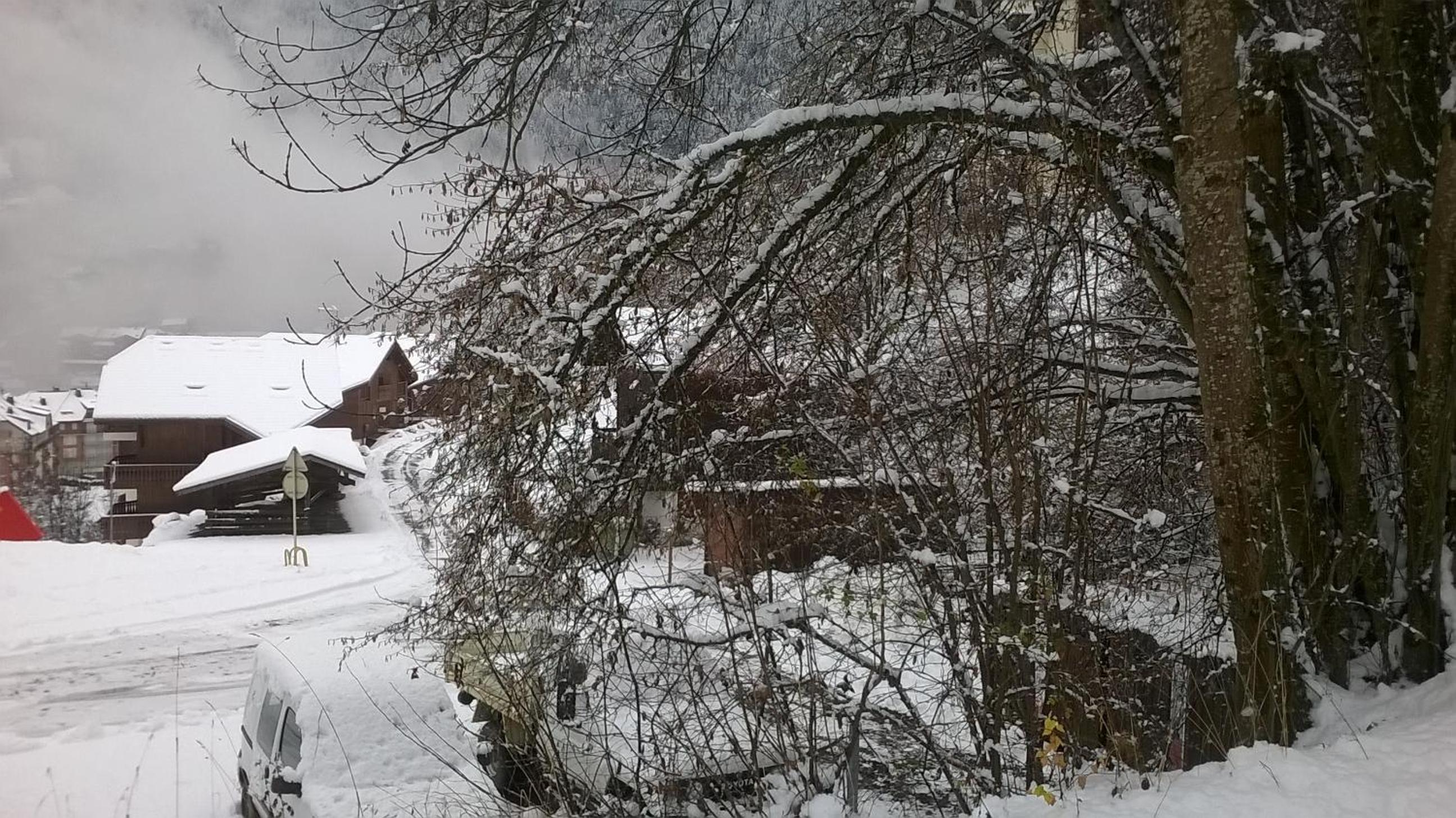 Chalet La Piste Bleu