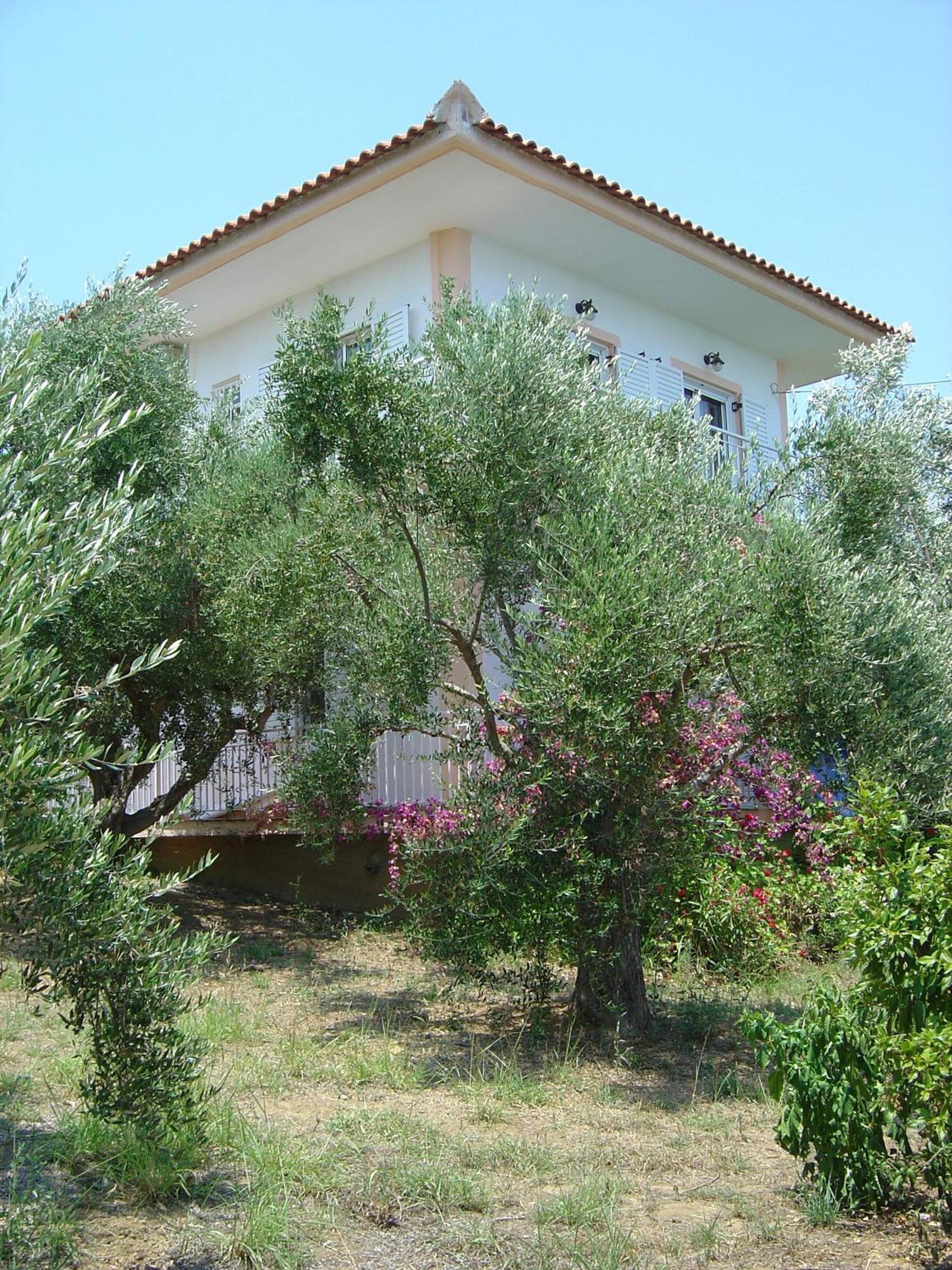 Eleni Houses