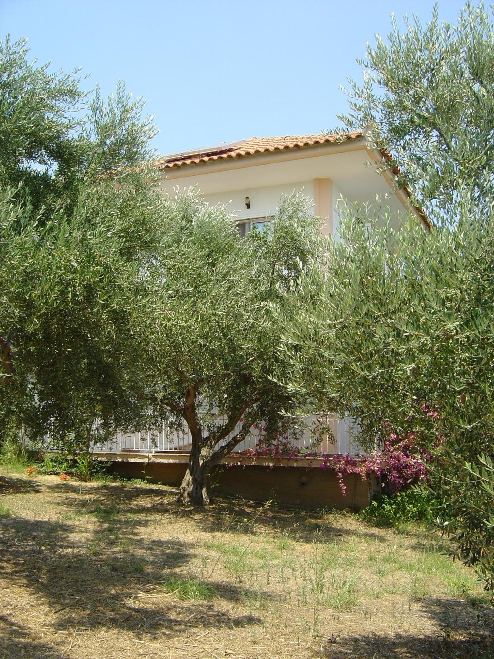 Eleni Houses