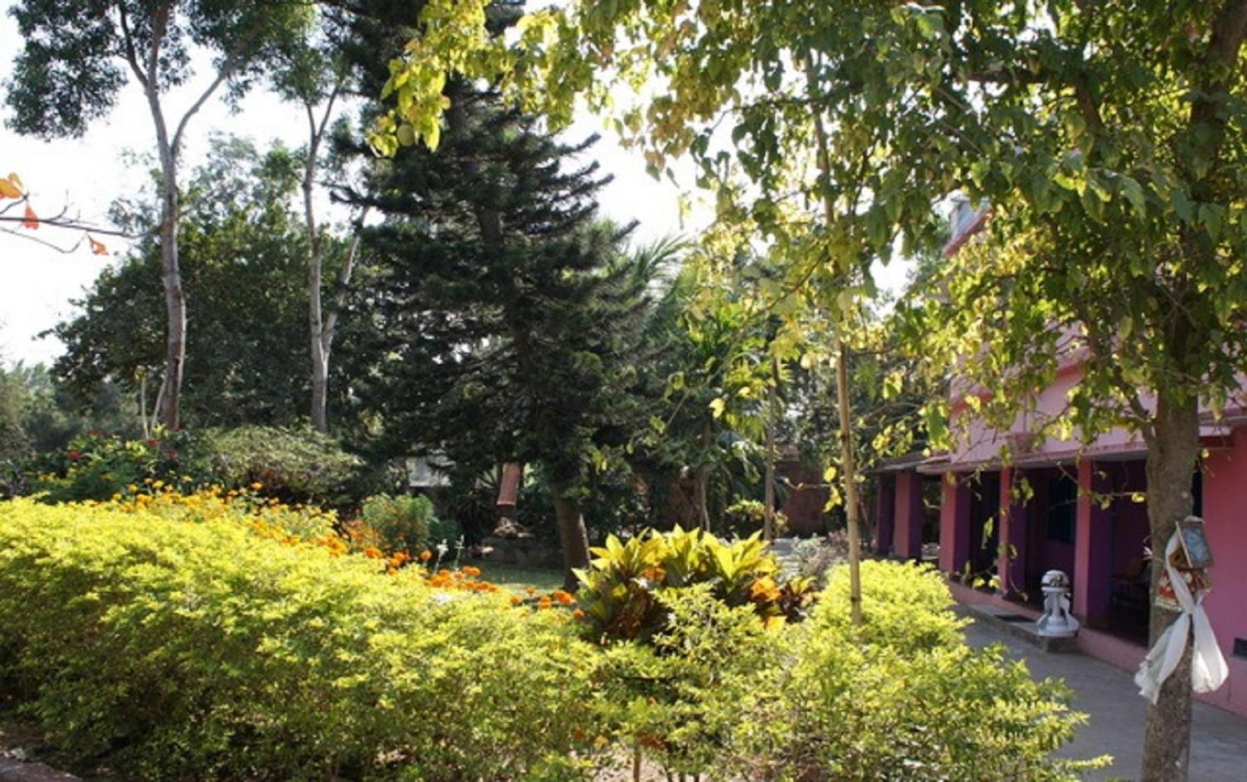 Photo 20