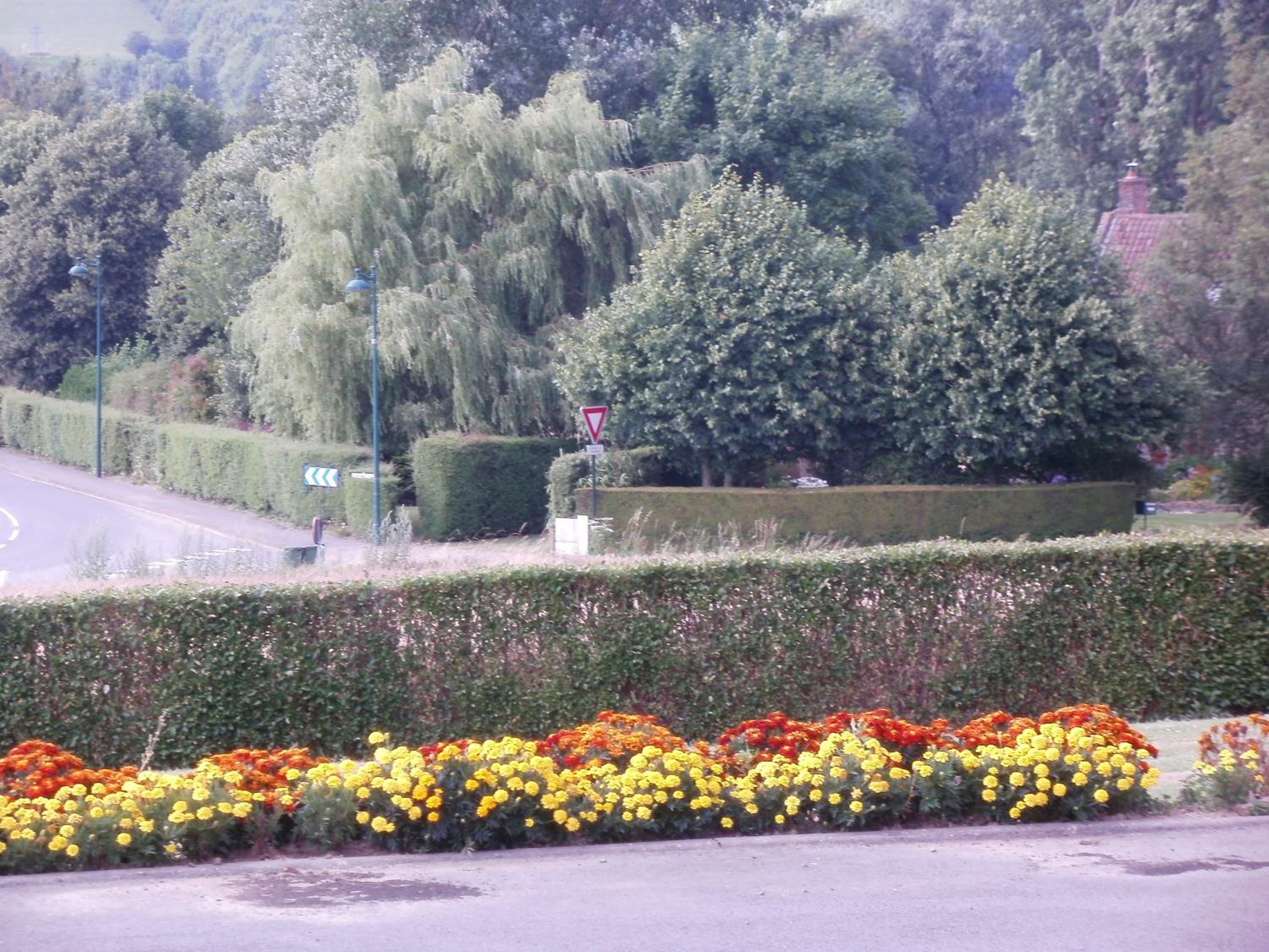 Photo 21