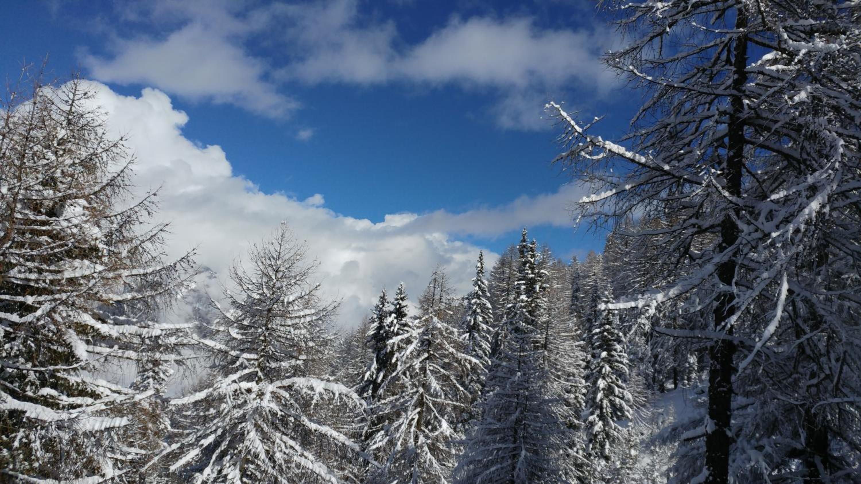 Apartment Ski Marilleva 1400