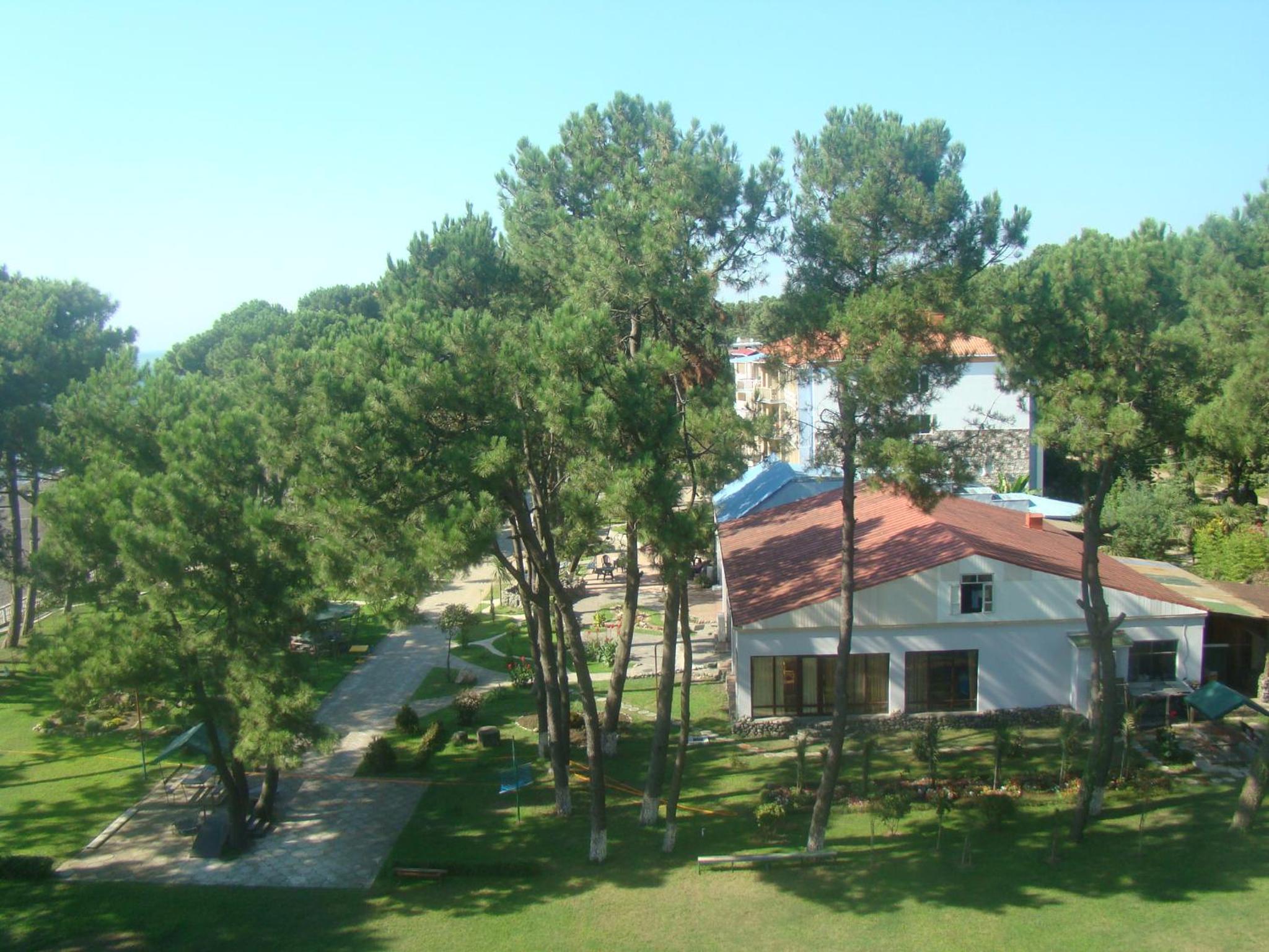 Photo 11
