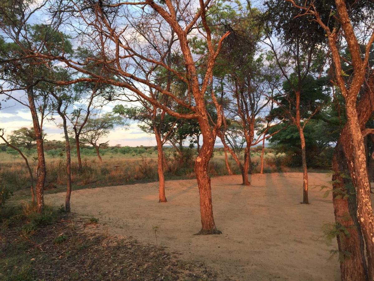 Limpopo Bushveld Retreat
