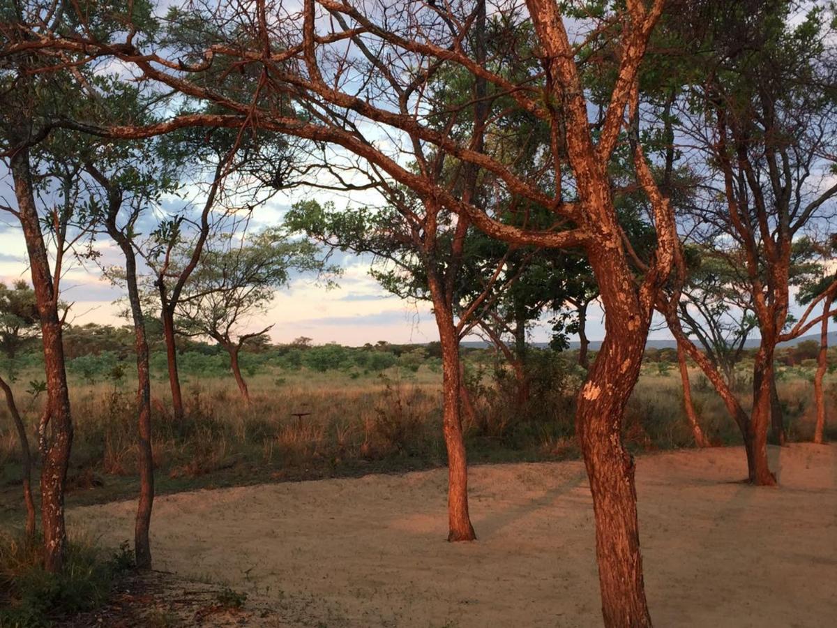 Limpopo Bushveld Retreat