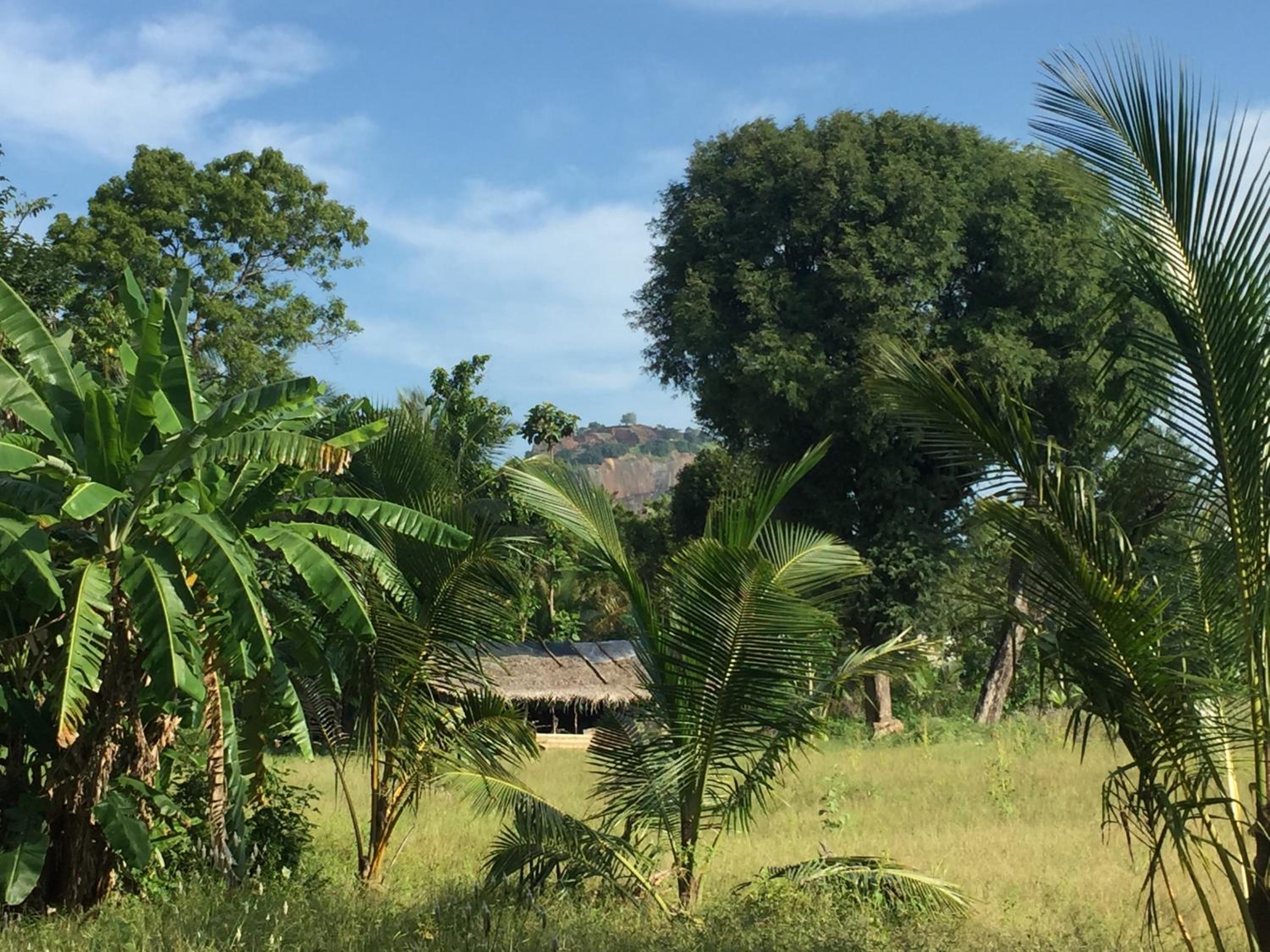 Shady mango villa view 4