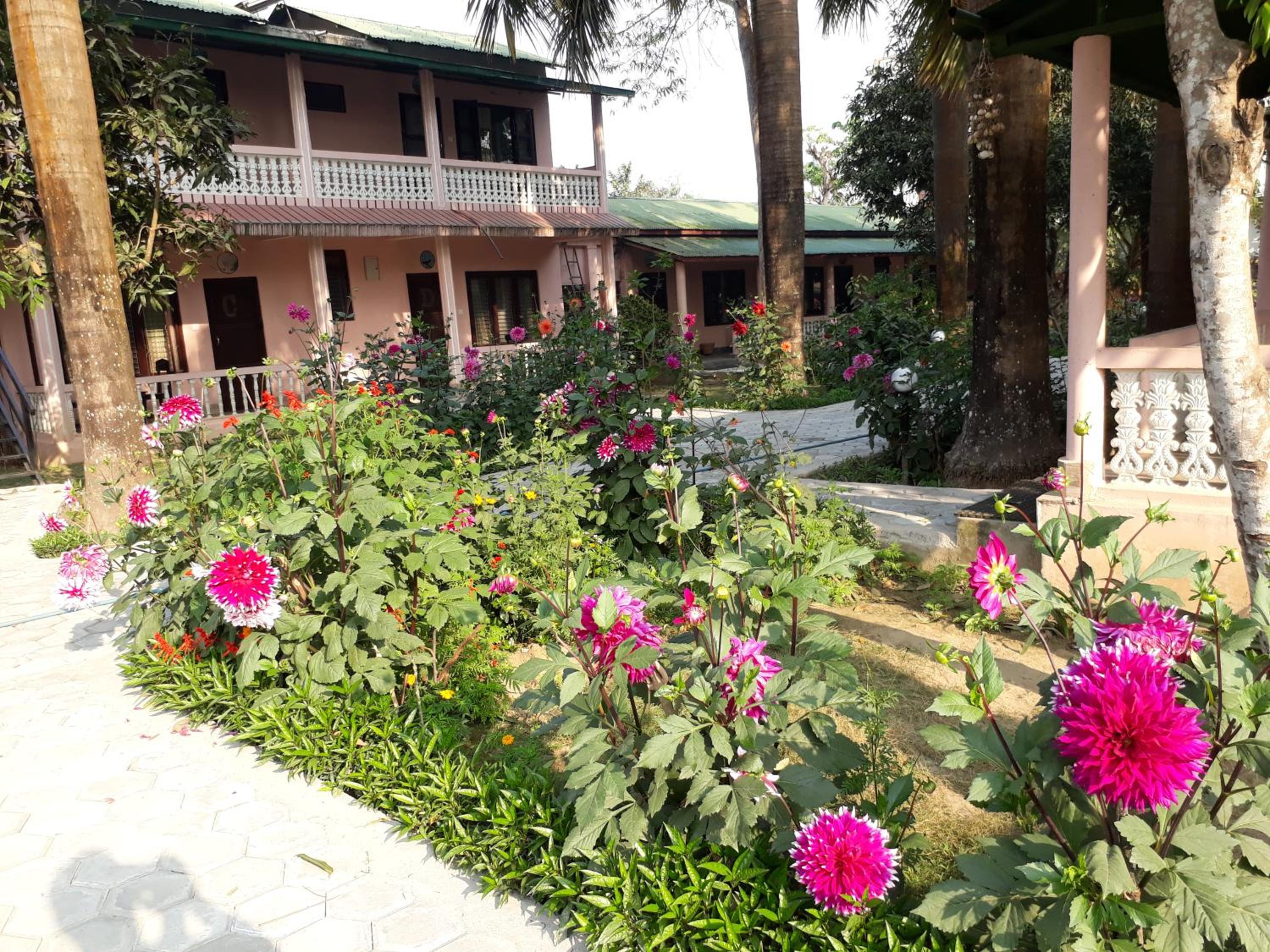 Sauraha Resort