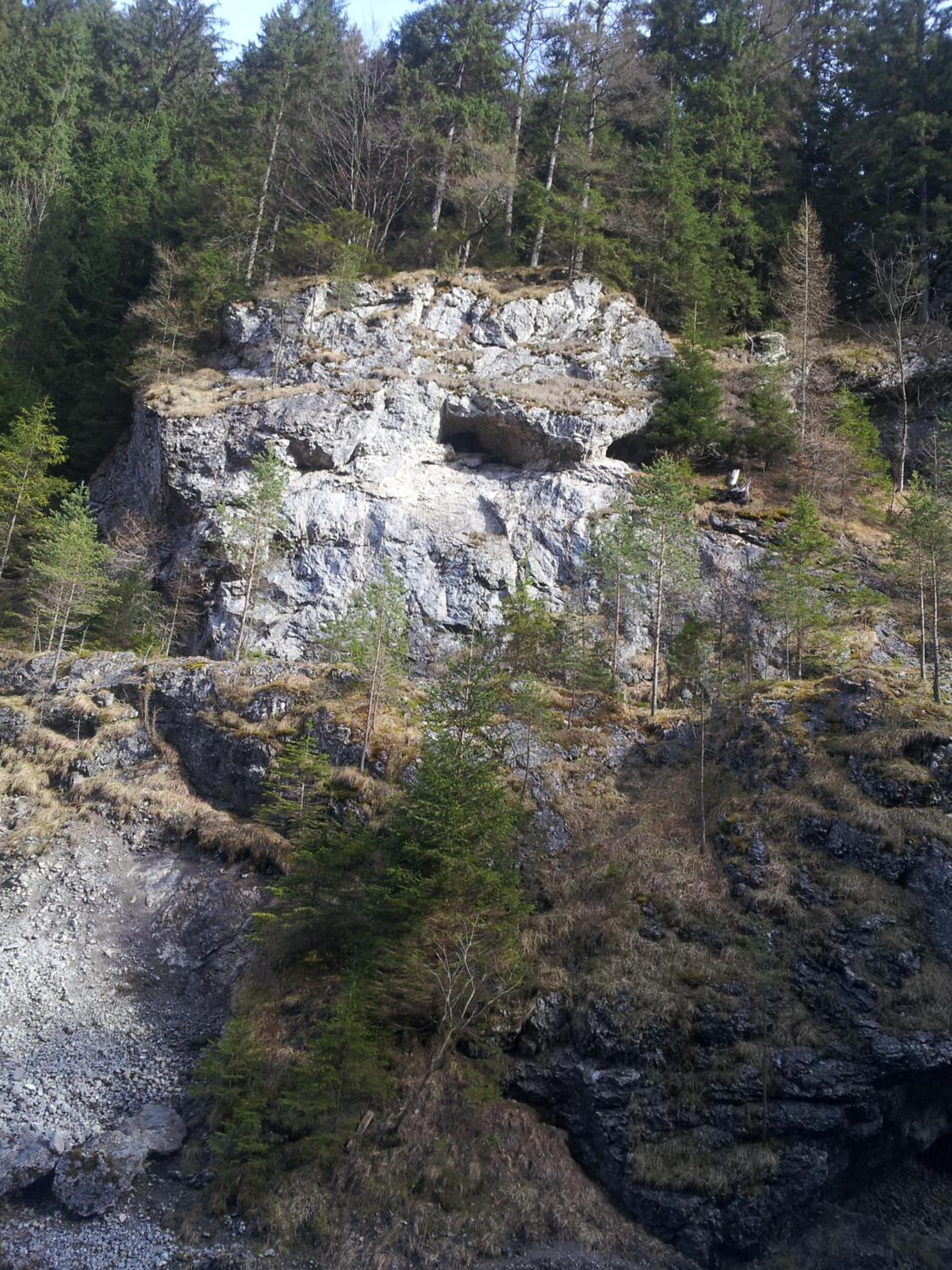 Photo 36