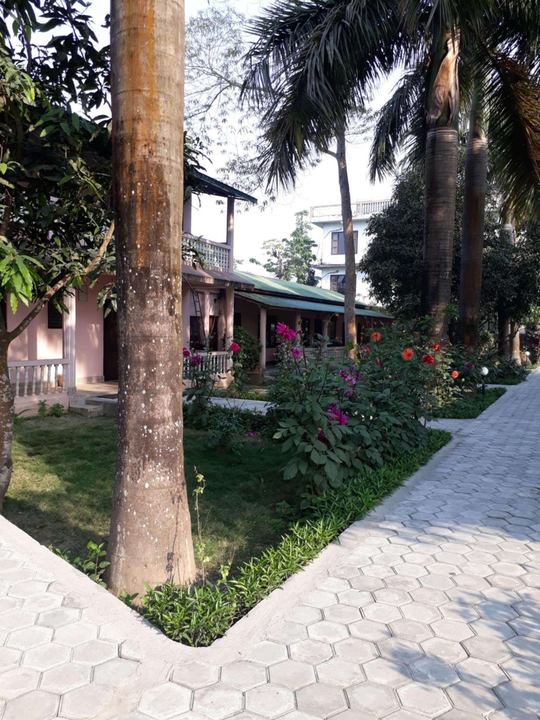 Sauraha Resort