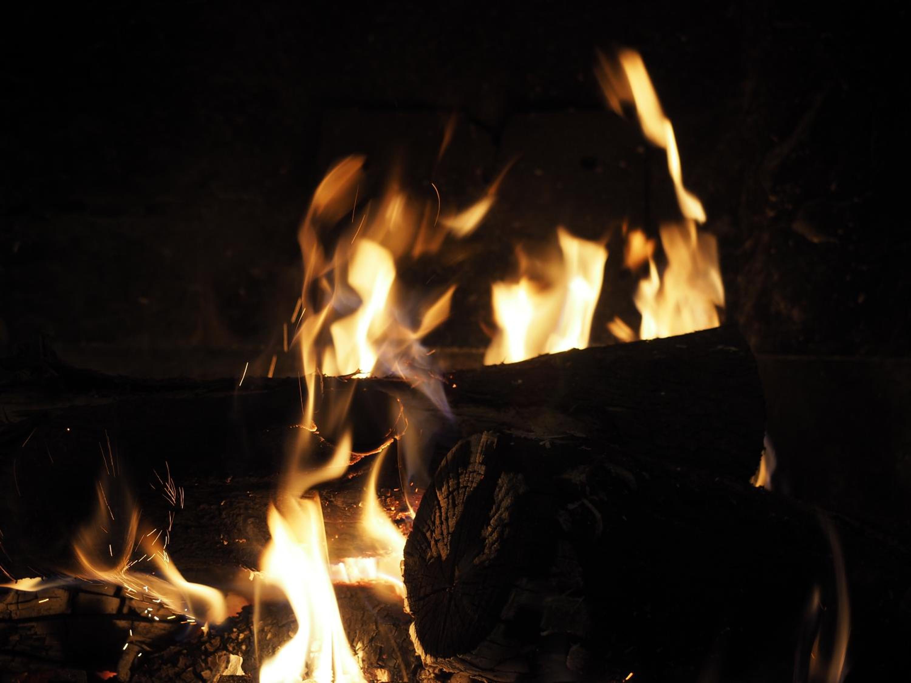 Photo 42
