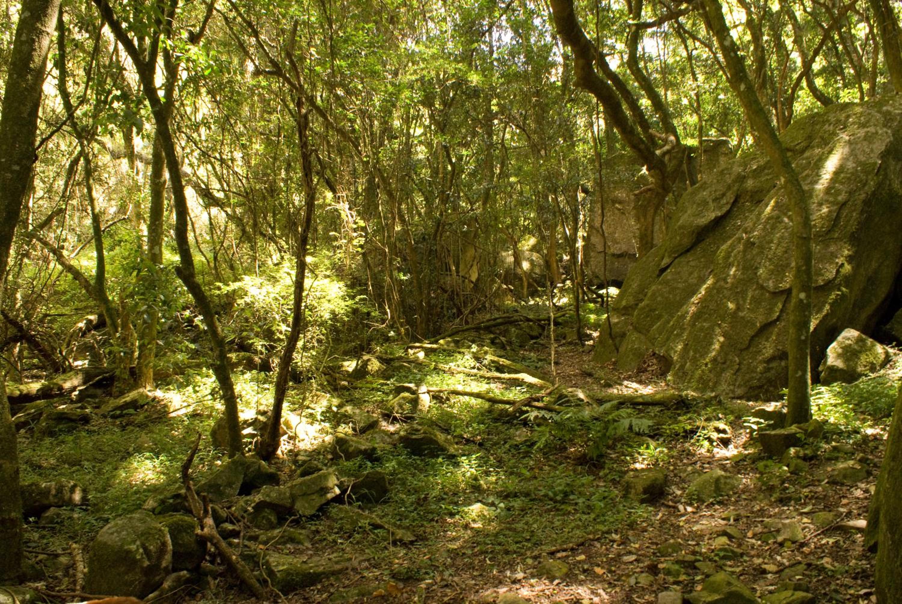Photo 21