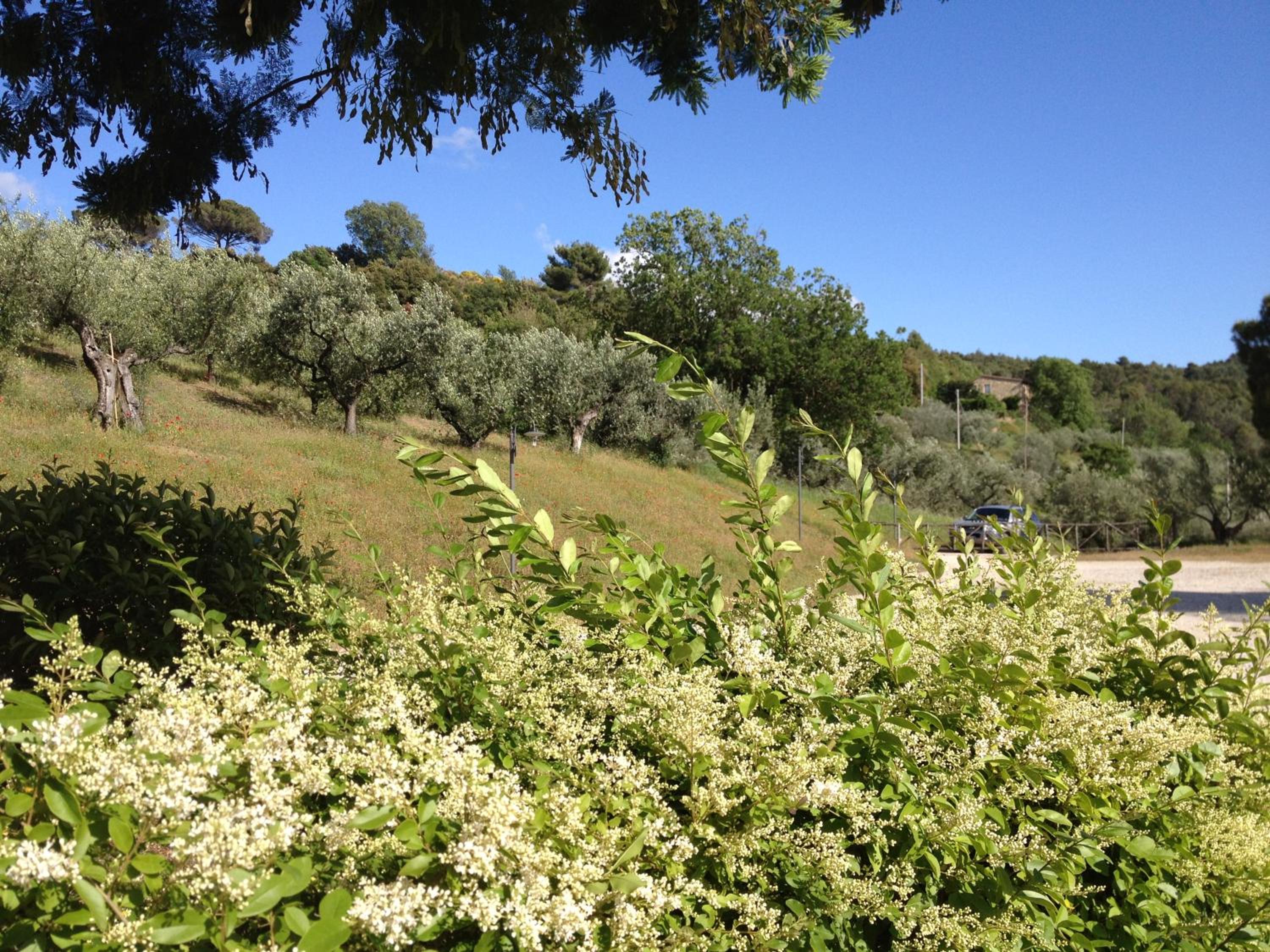 Il Poggio Delle Ginestre