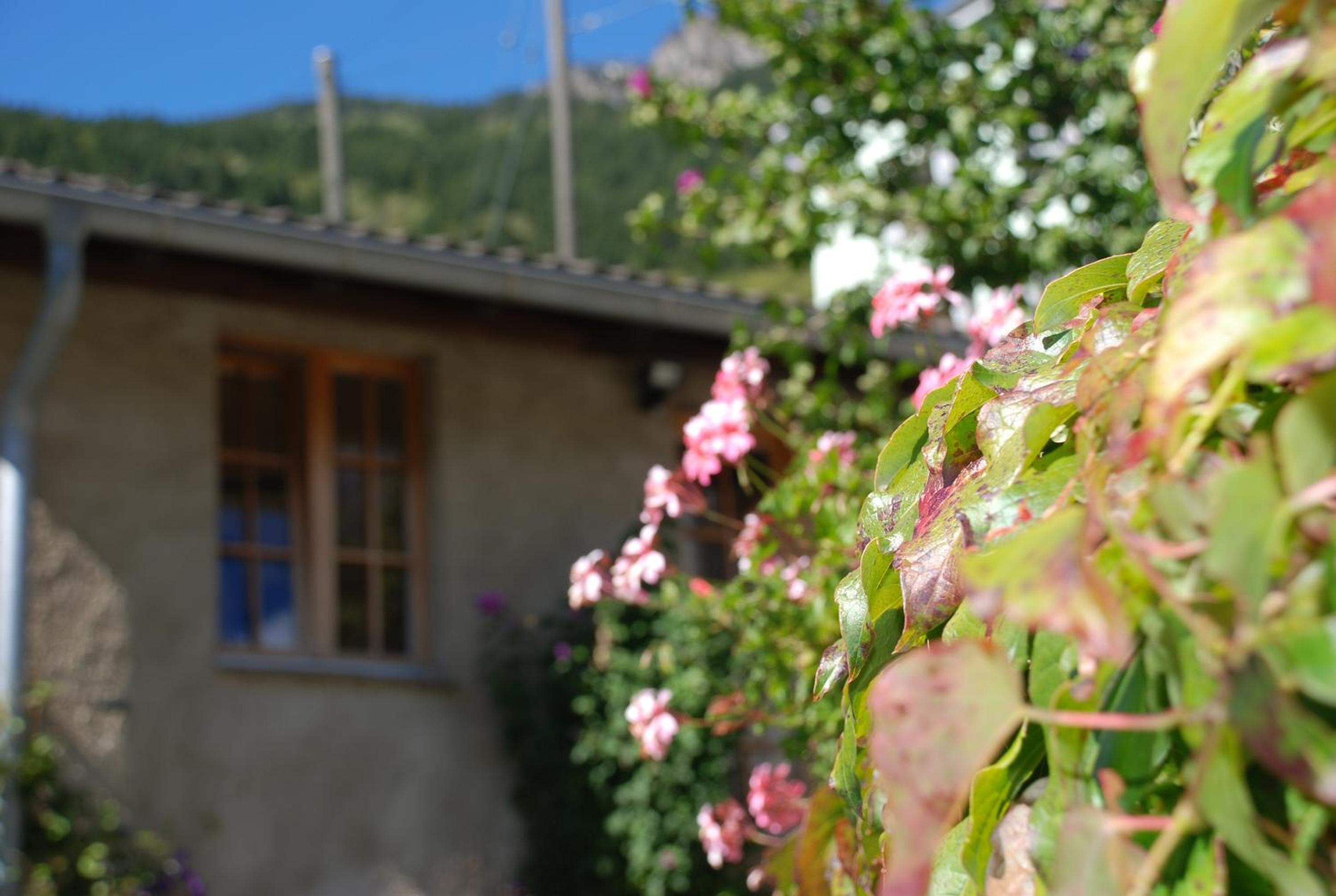 Casa Dosc