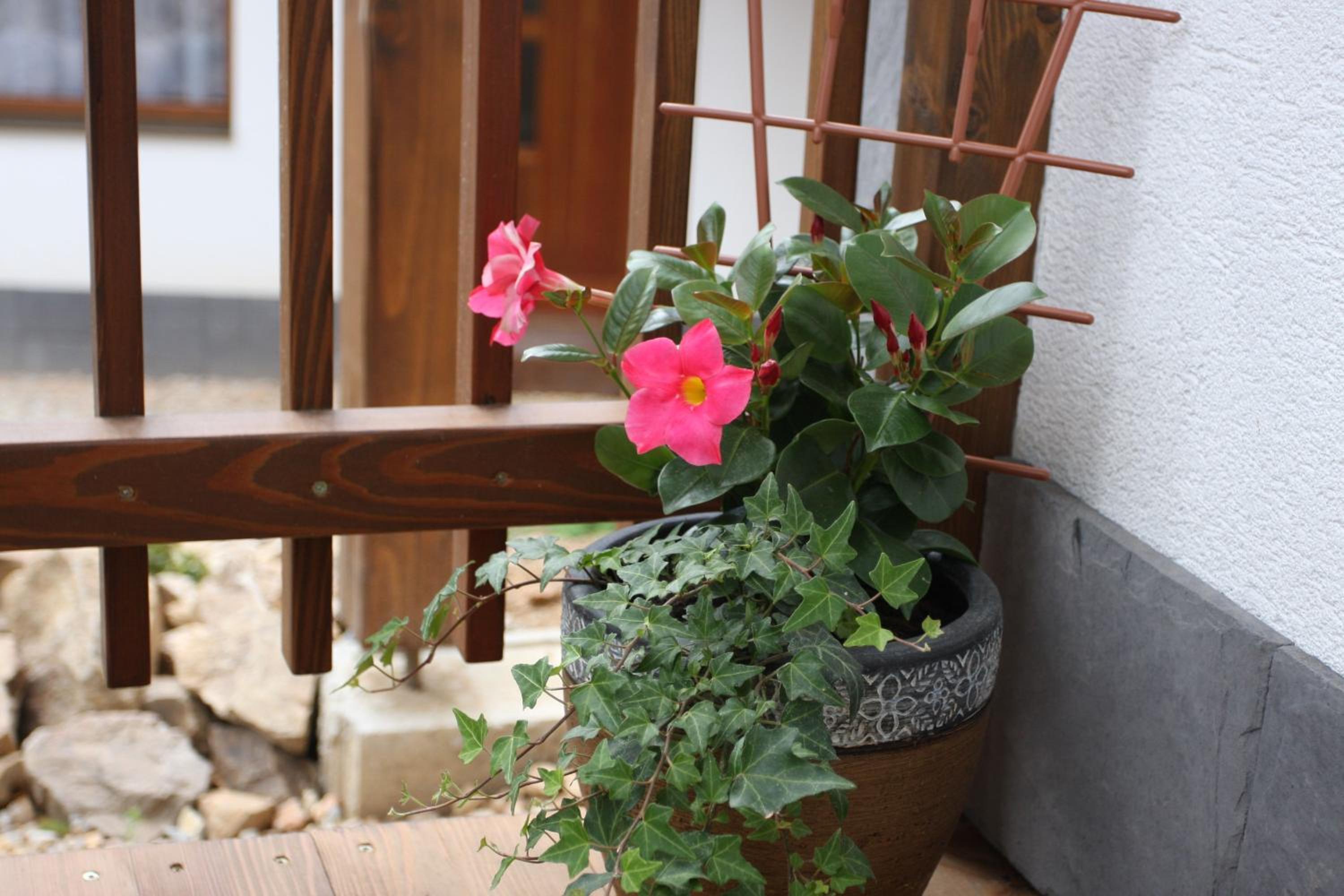 Apartmány Planina Predná Hora