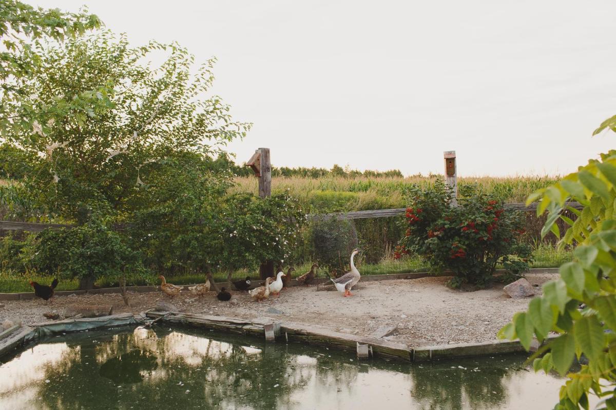 Duck Pond B&B Cottage