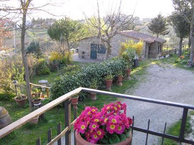 Photo 46