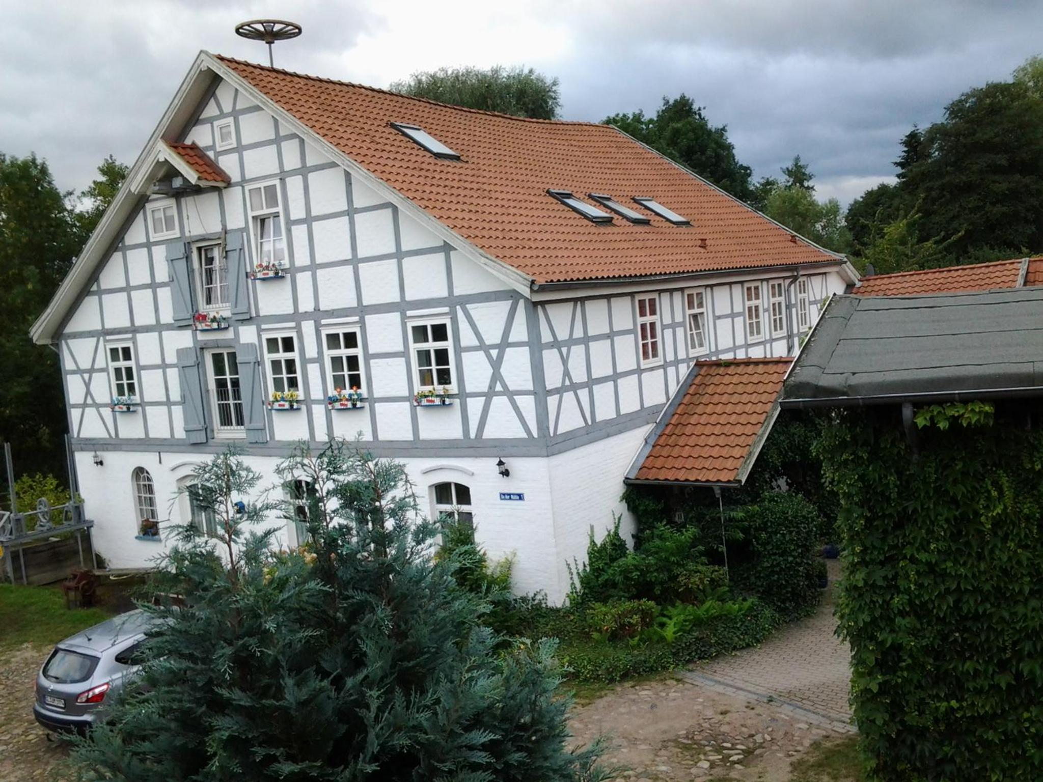 Photo 12