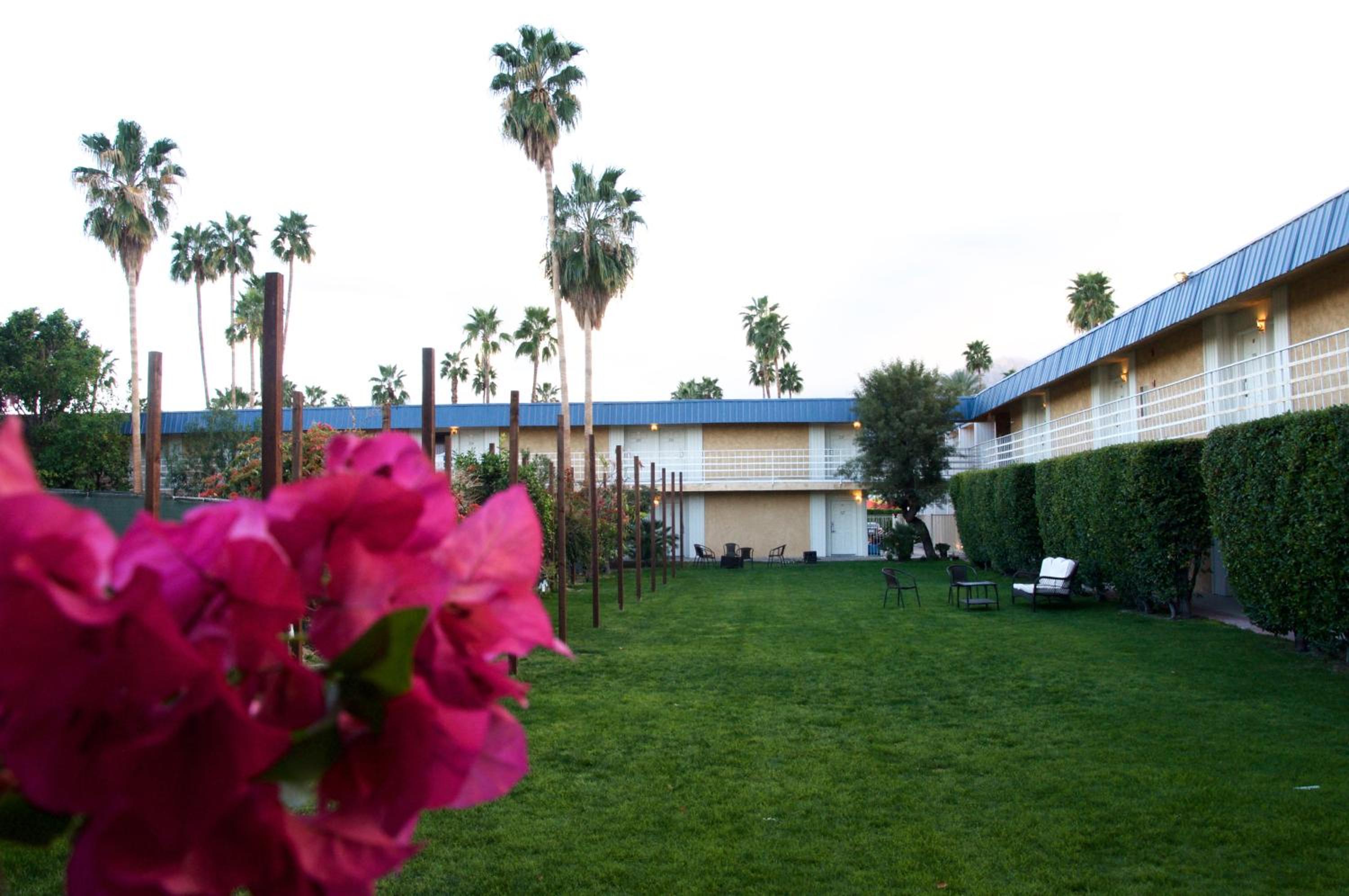 Delos Reyes Palm Springs