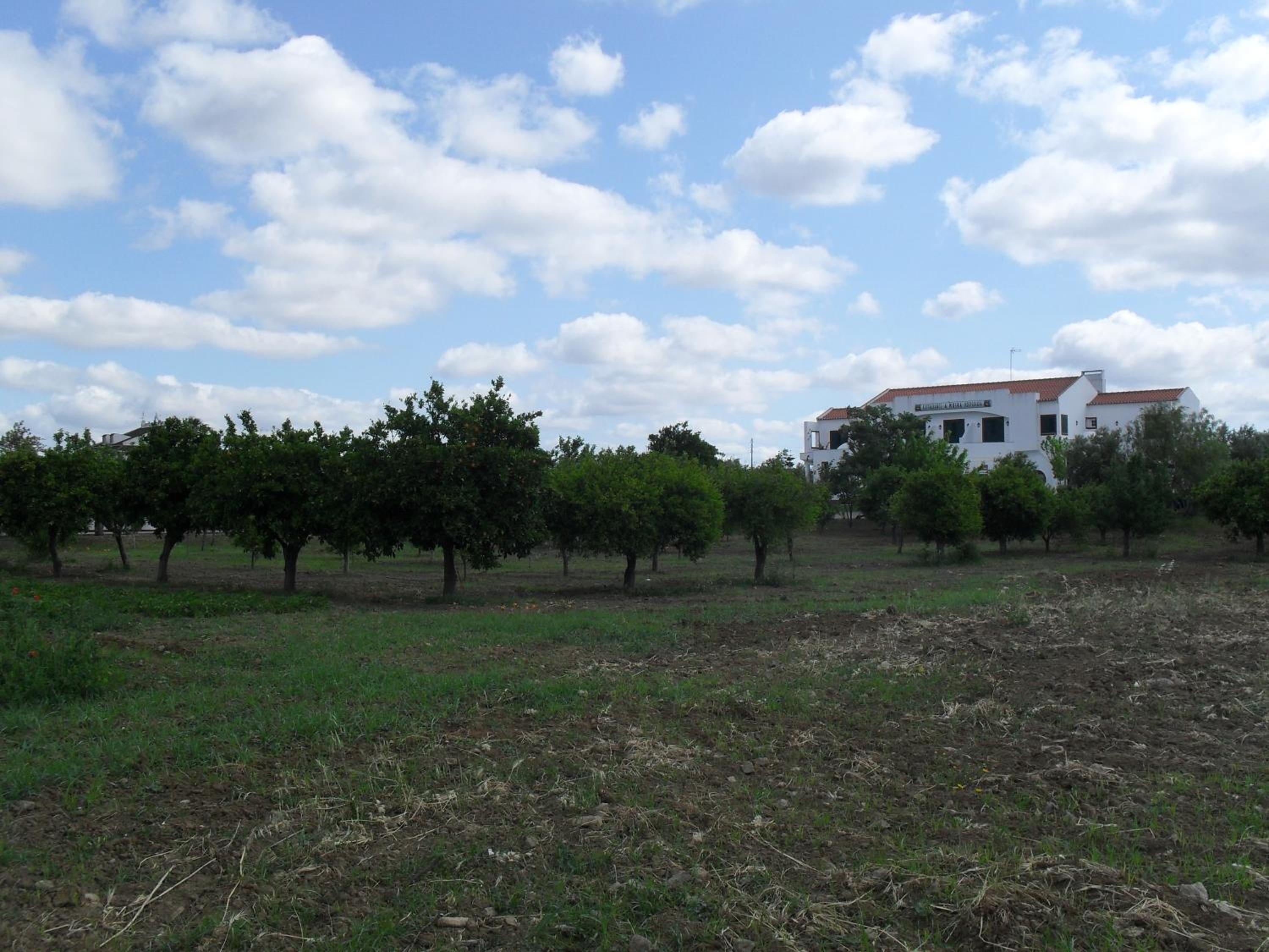Photo 48