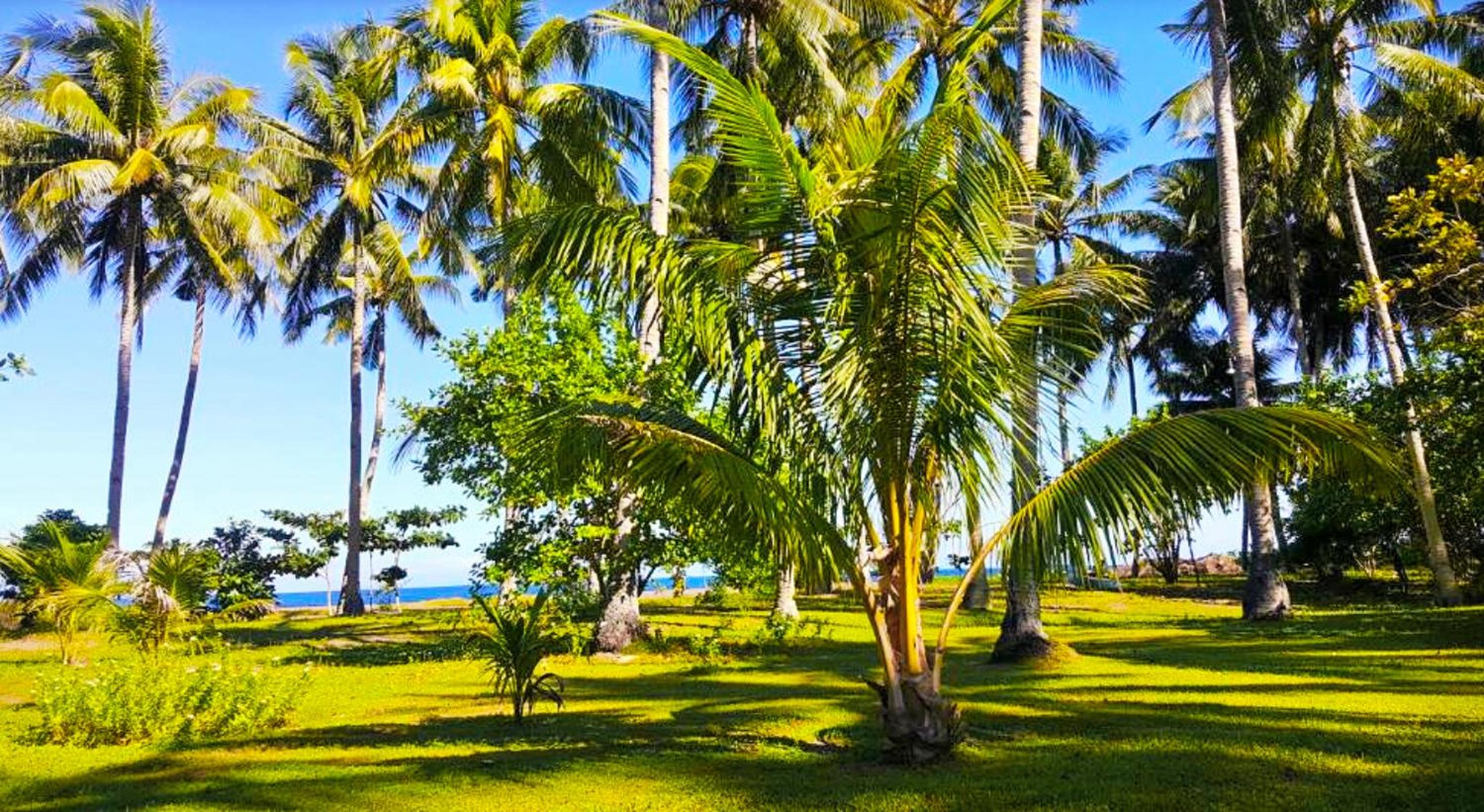 SomeWhere Else Boutique Resort