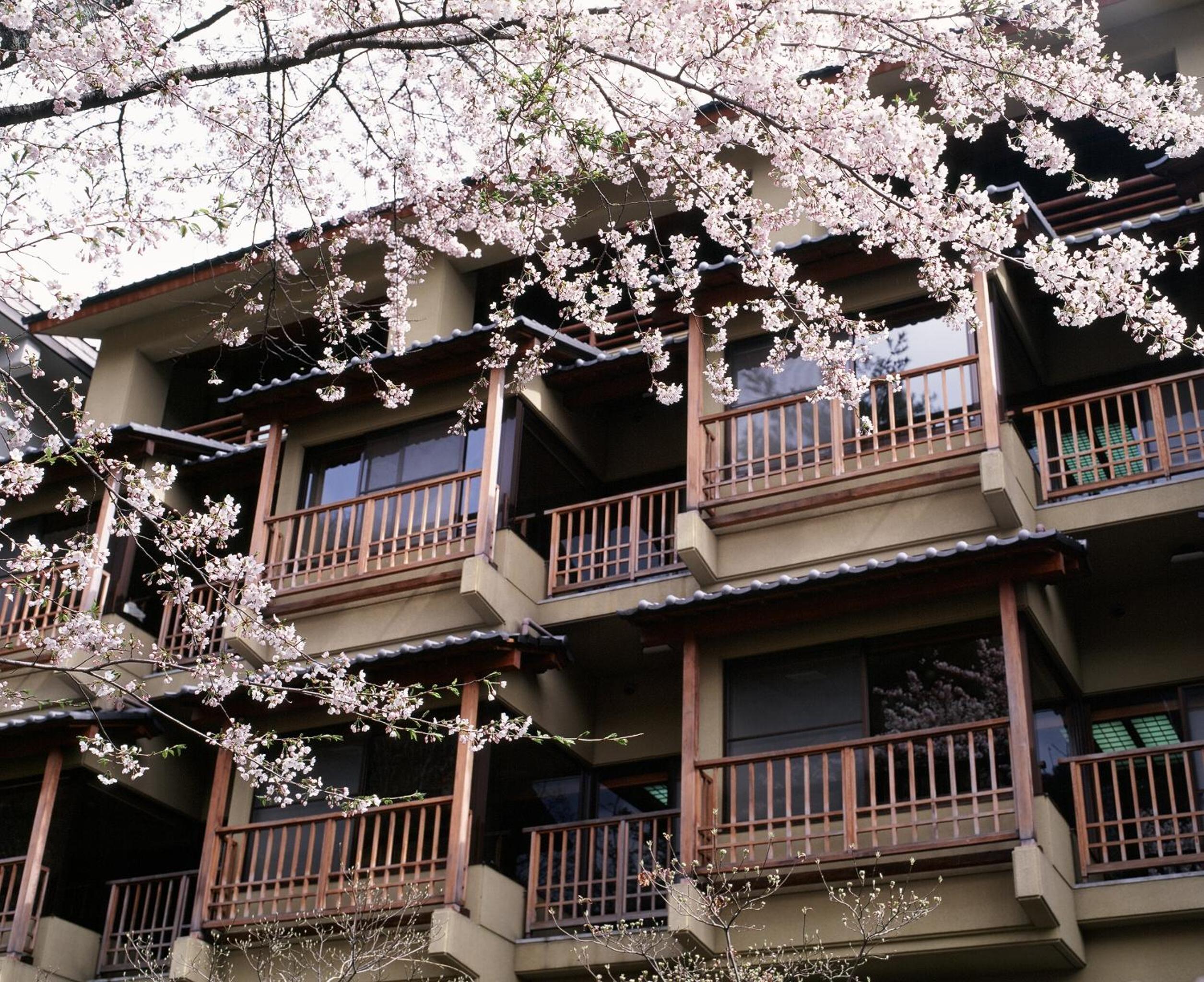 Kinseikan Seseragi
