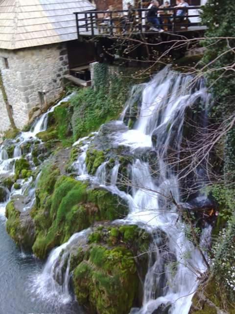 Apartman Drenovac
