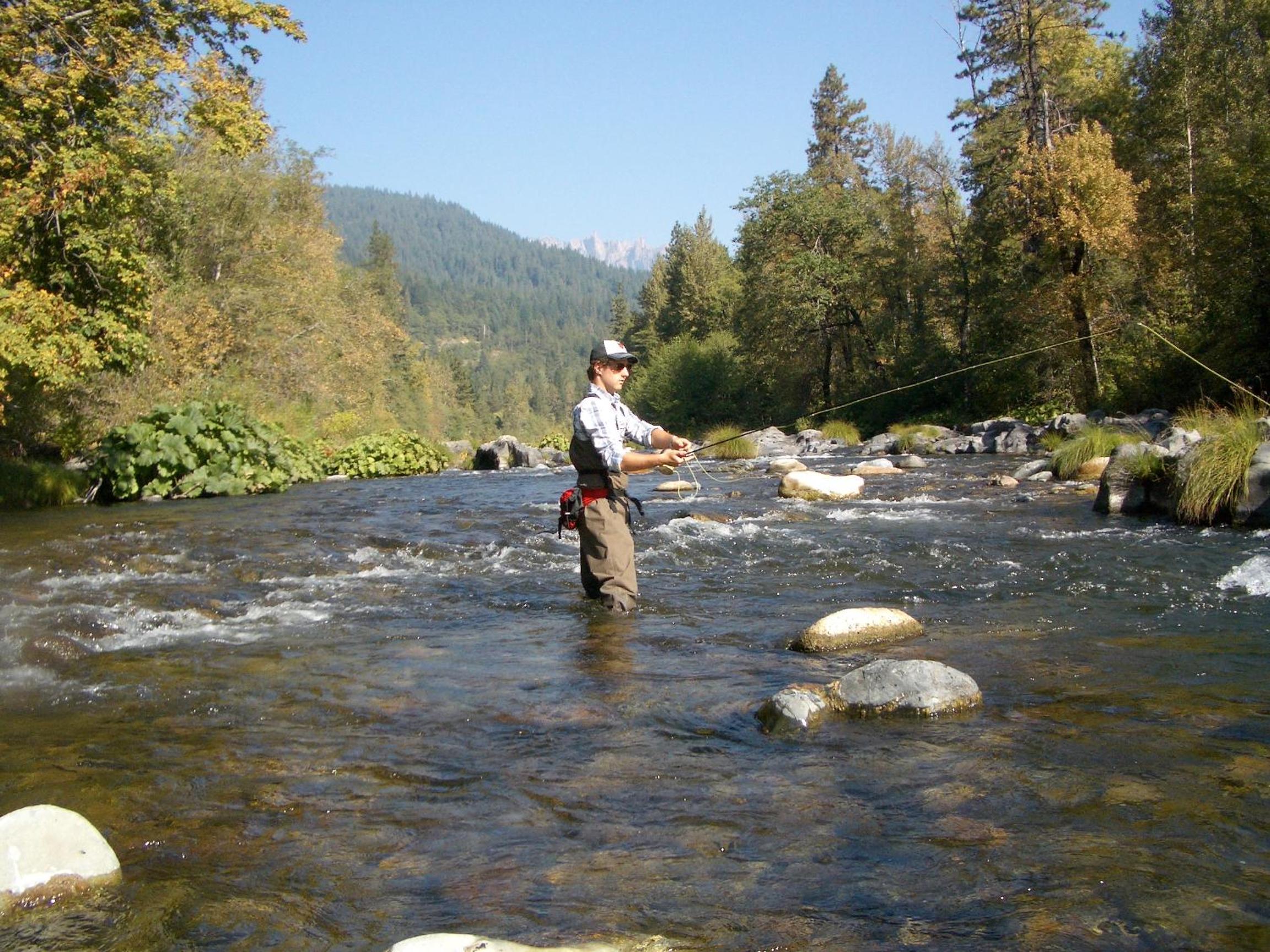 Photo 46