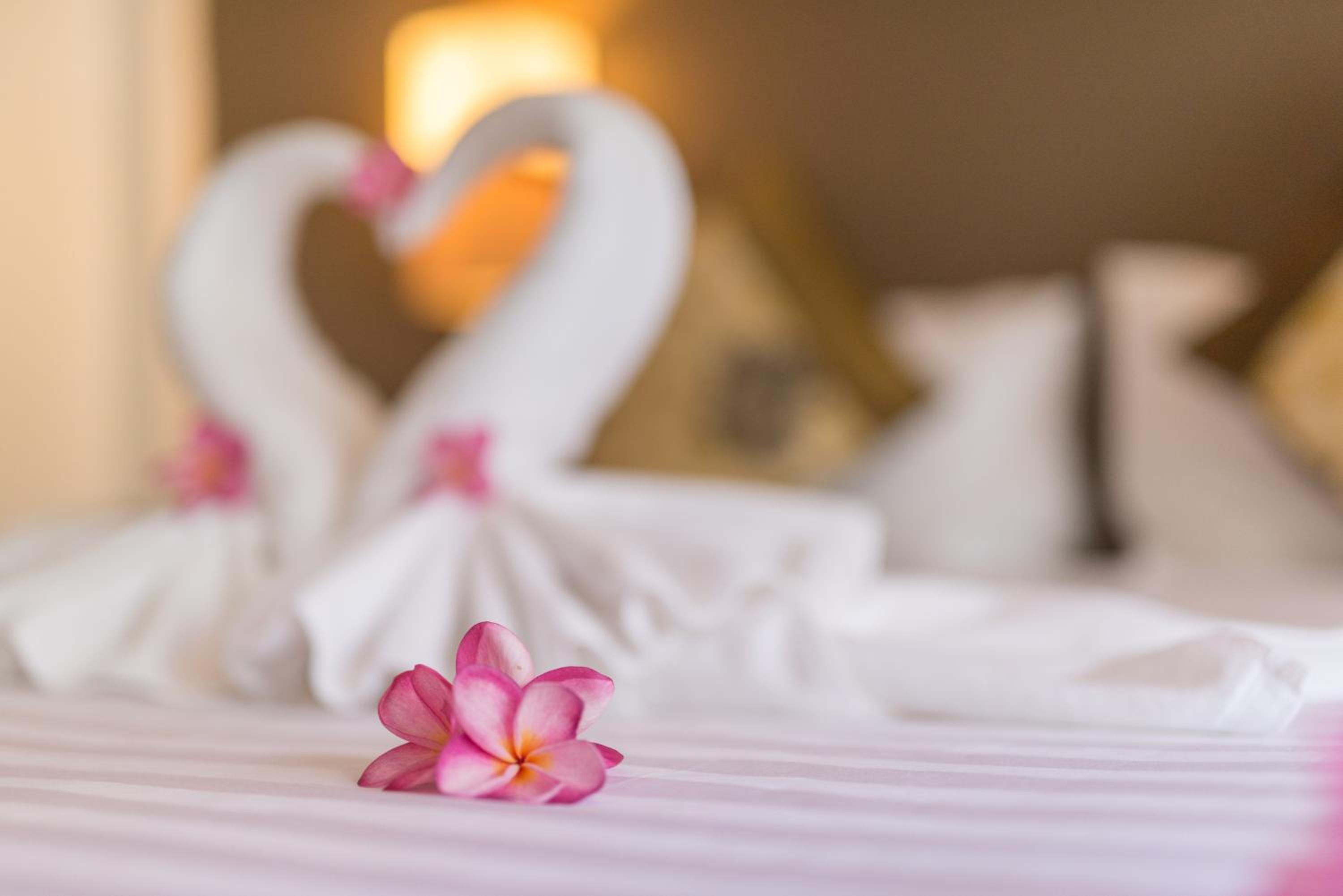 The Viridian Resort Patong
