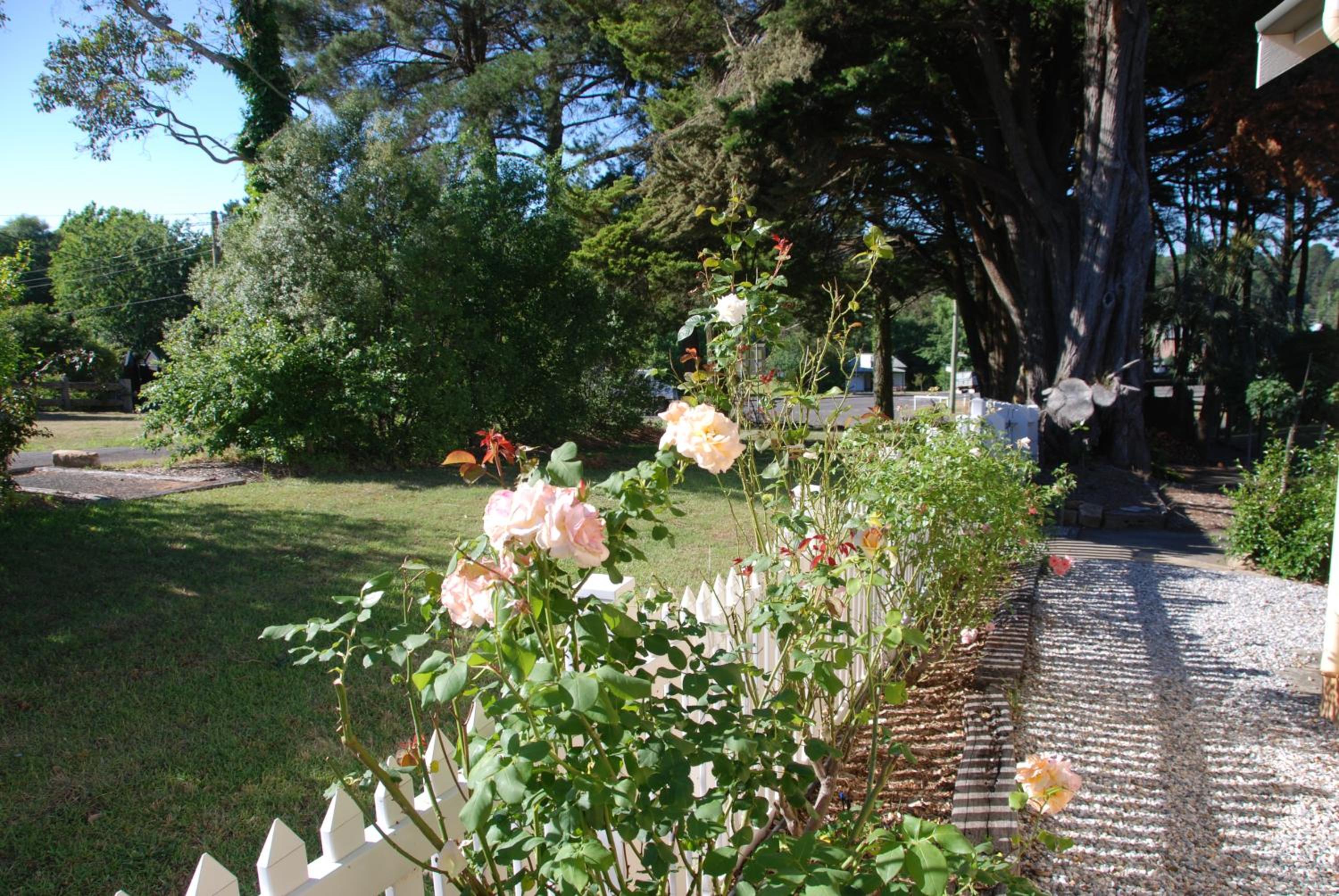Hillside Cottage Berrima