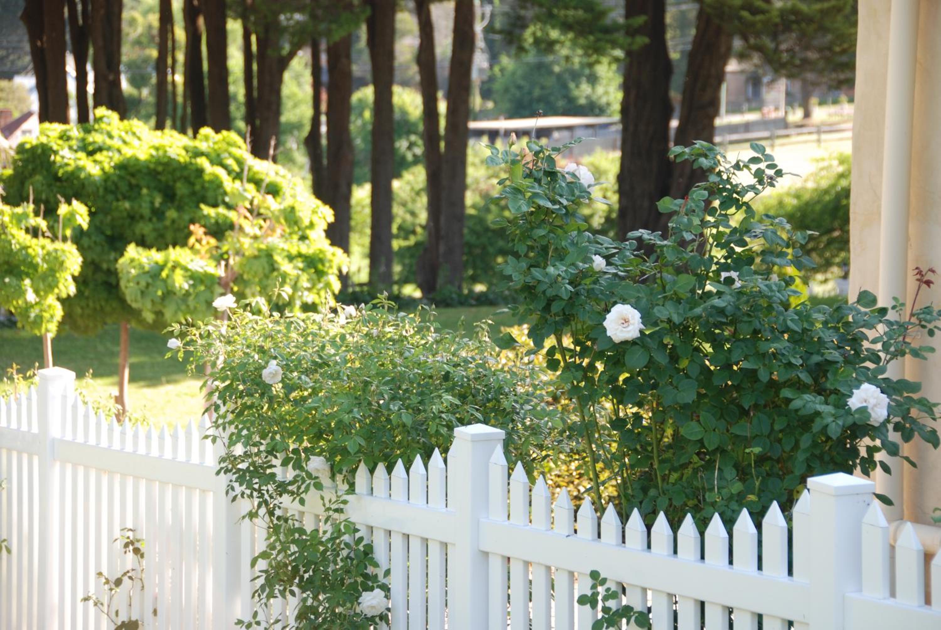 Hillside Cottage Berrima
