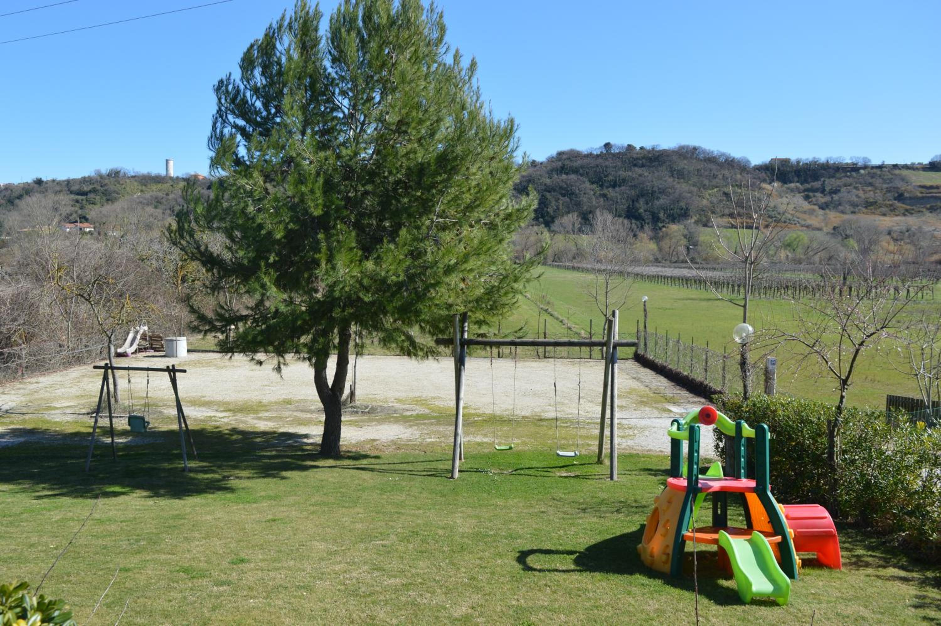 Photo 12