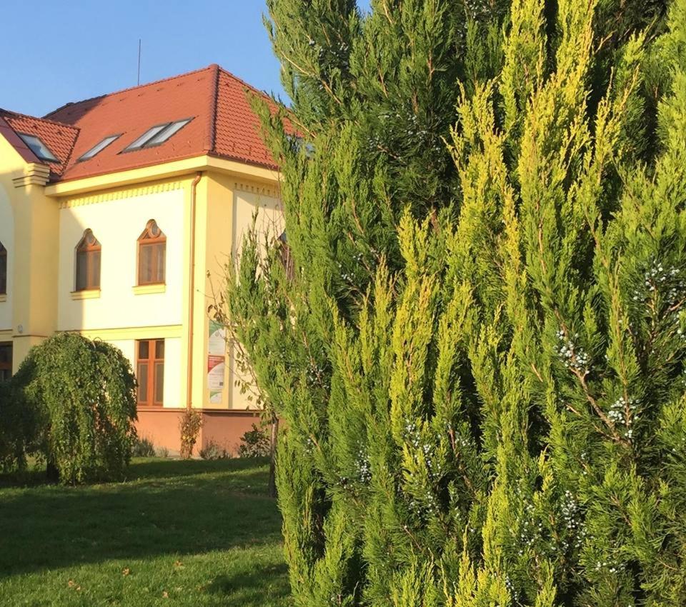 MAMRE Szálló