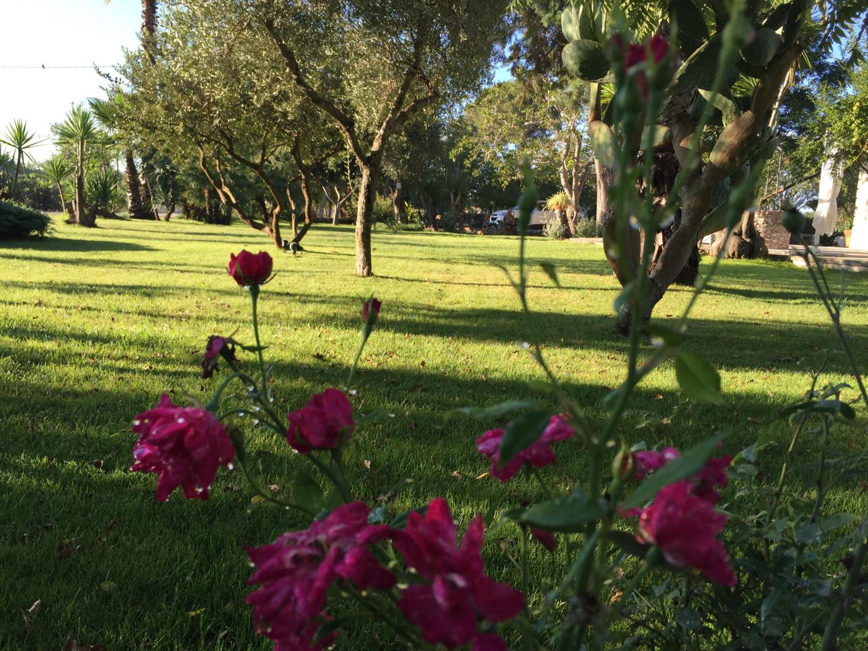 Dimora Del Duca coyntry Lecce, masseria b&b