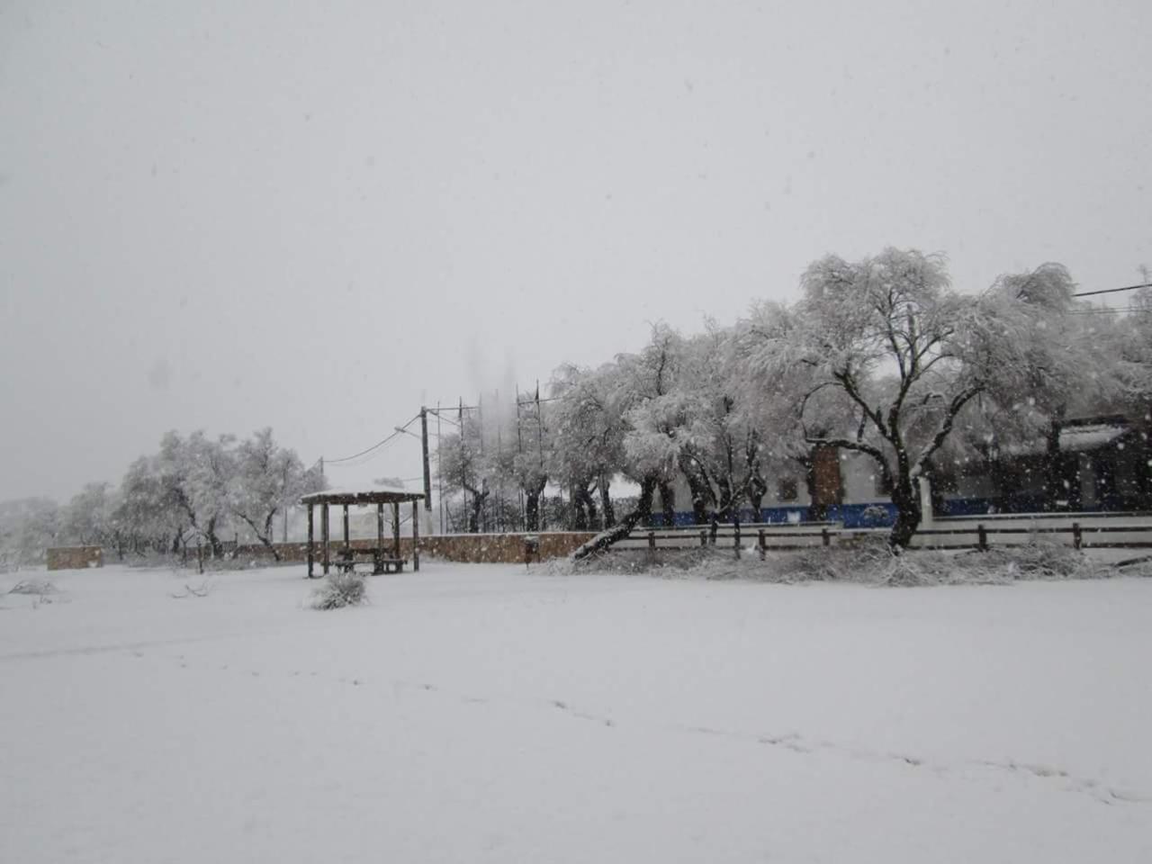 Las Banderas, photo 23