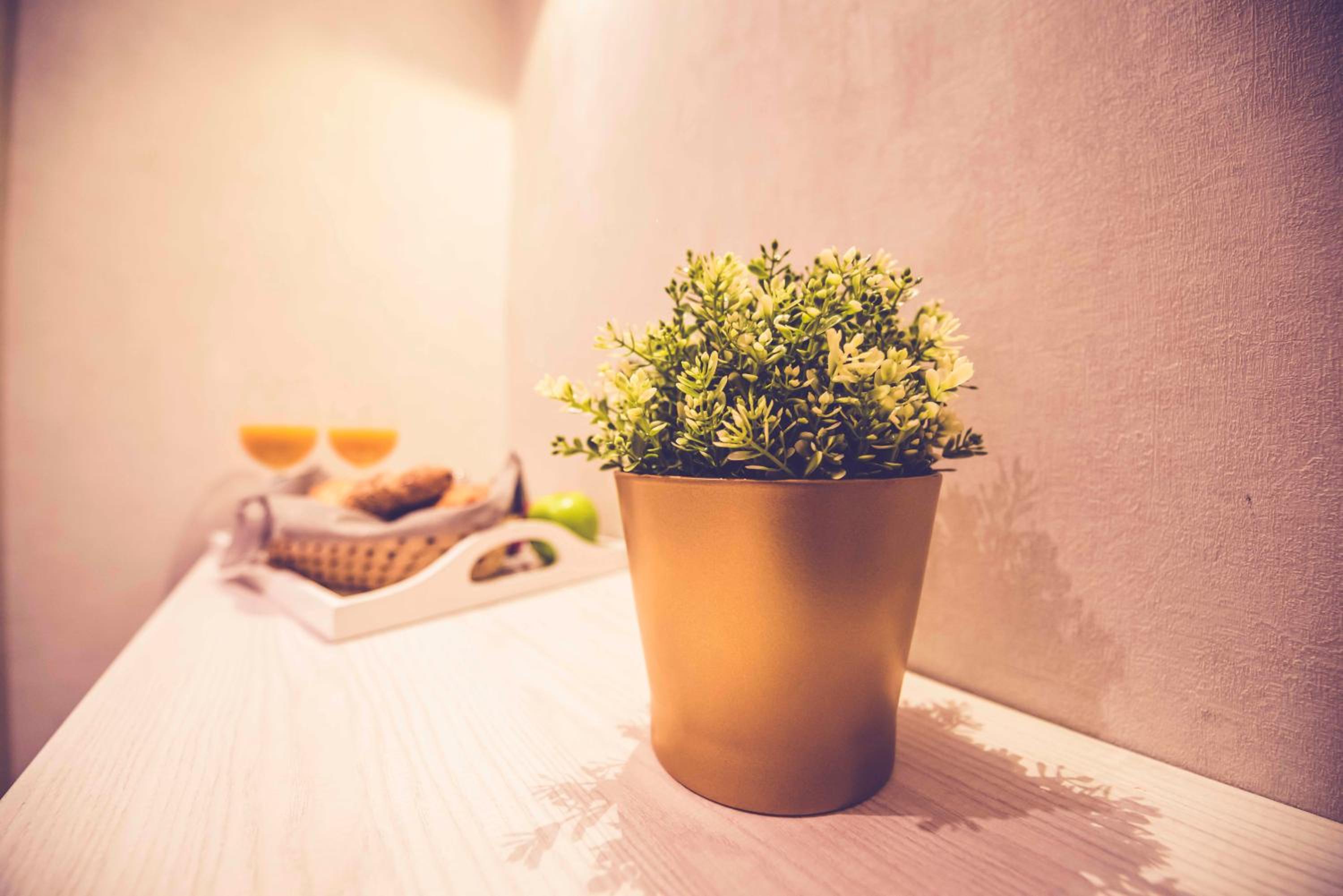 Hostal Lisboa